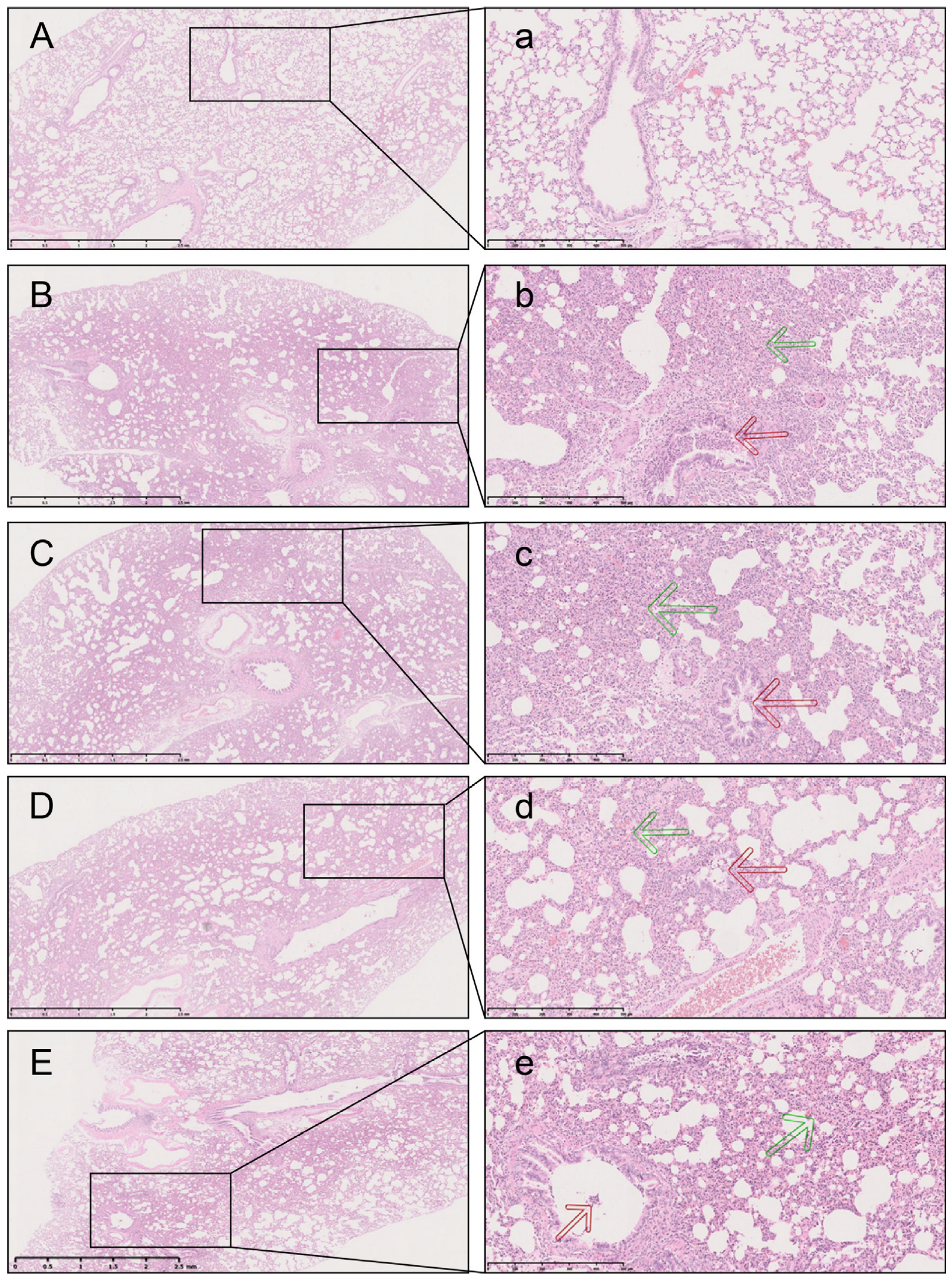 Pharmaceuticals 17 01731 g004