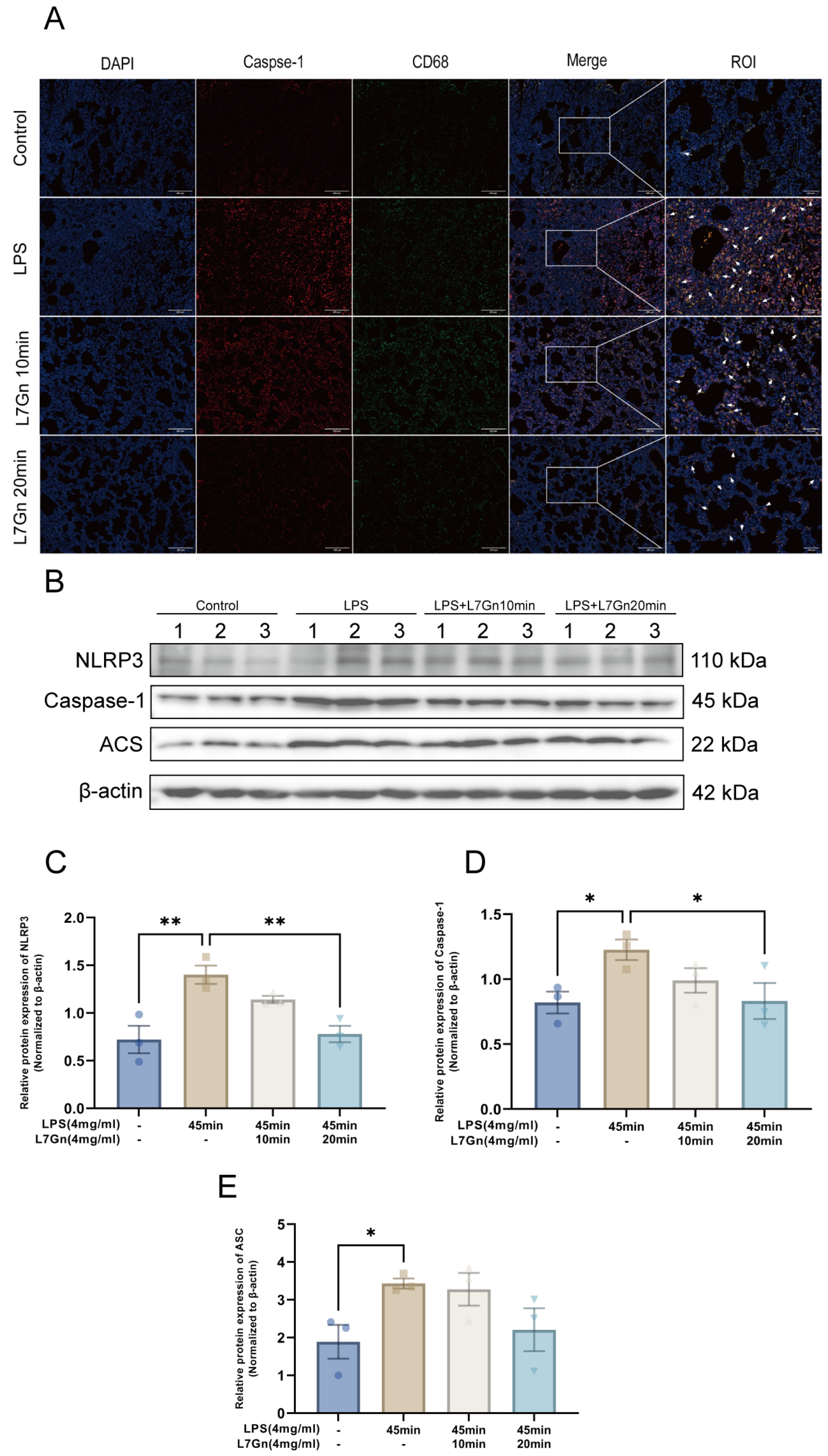 Pharmaceuticals 17 01731 g005
