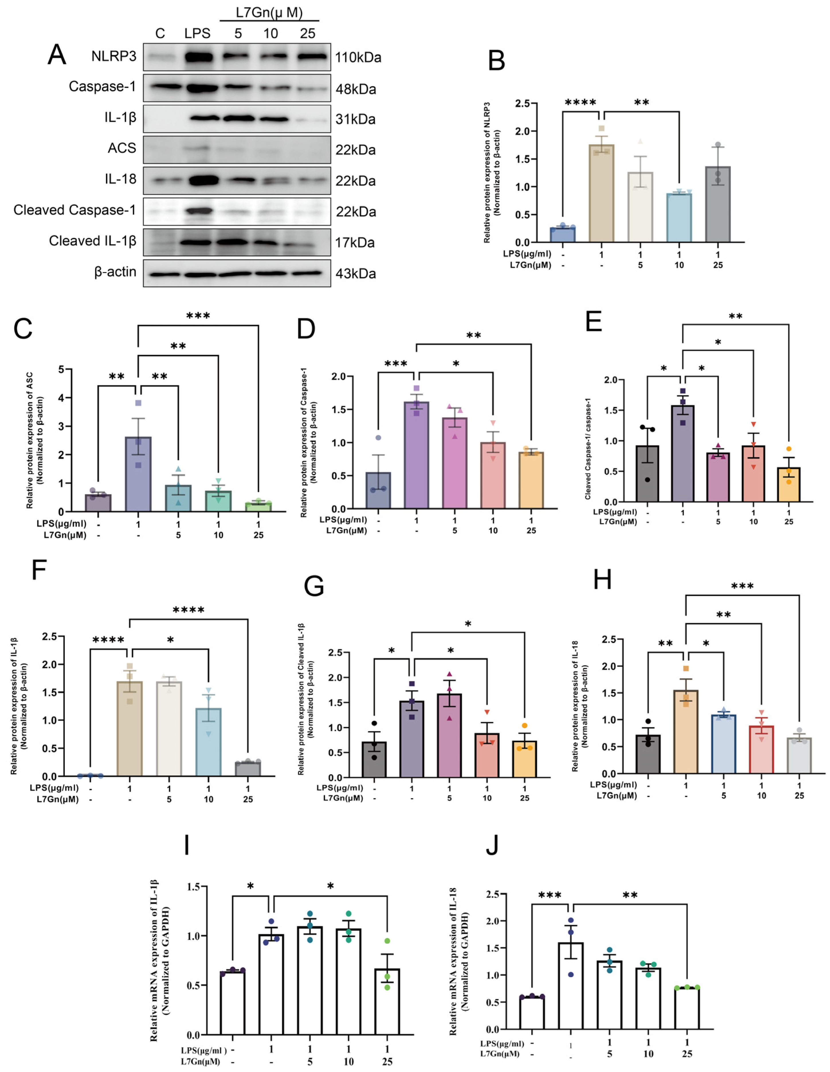 Pharmaceuticals 17 01731 g007