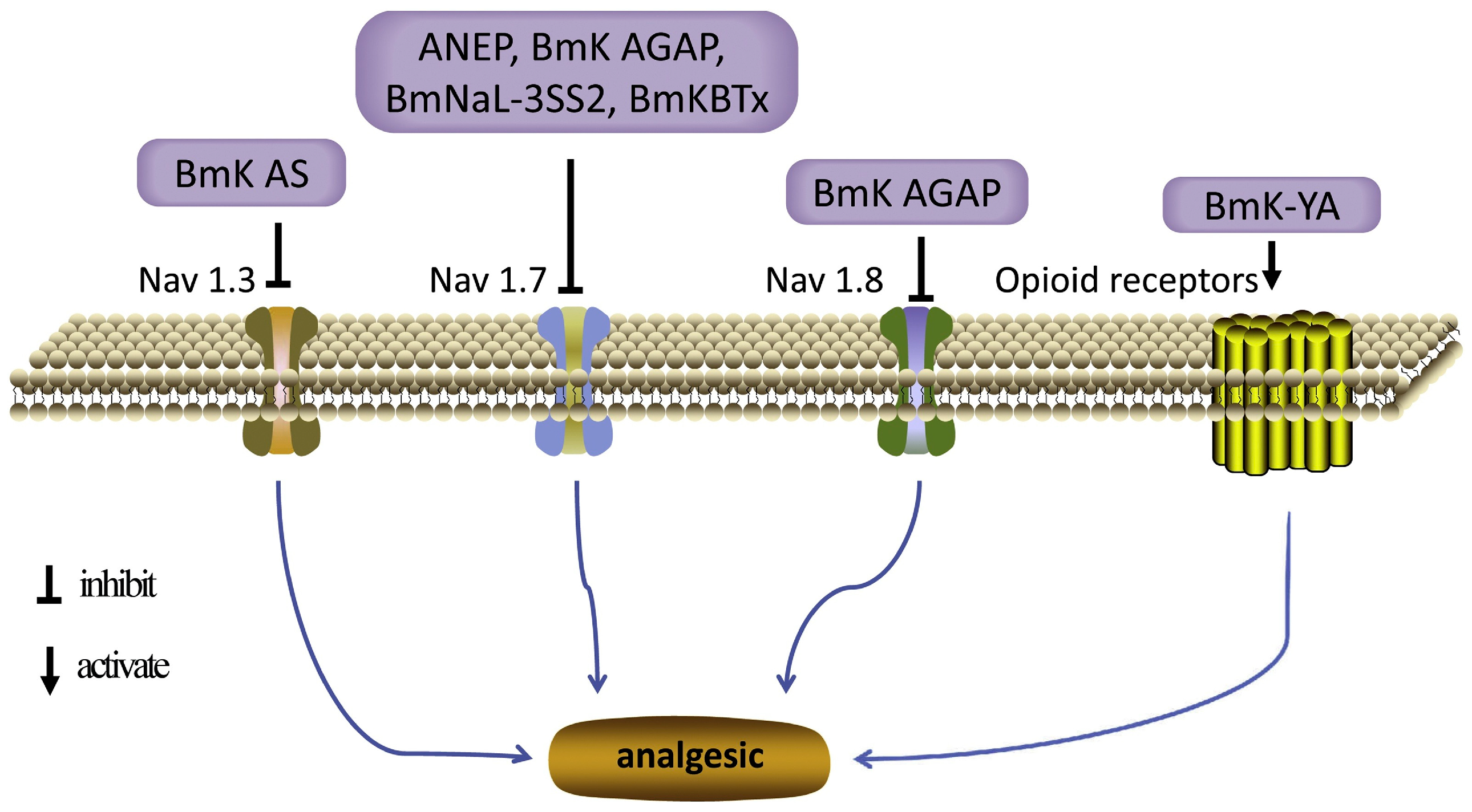 Pharmaceuticals 17 01735 g002 Pharmaceuticals 17 01735 g002