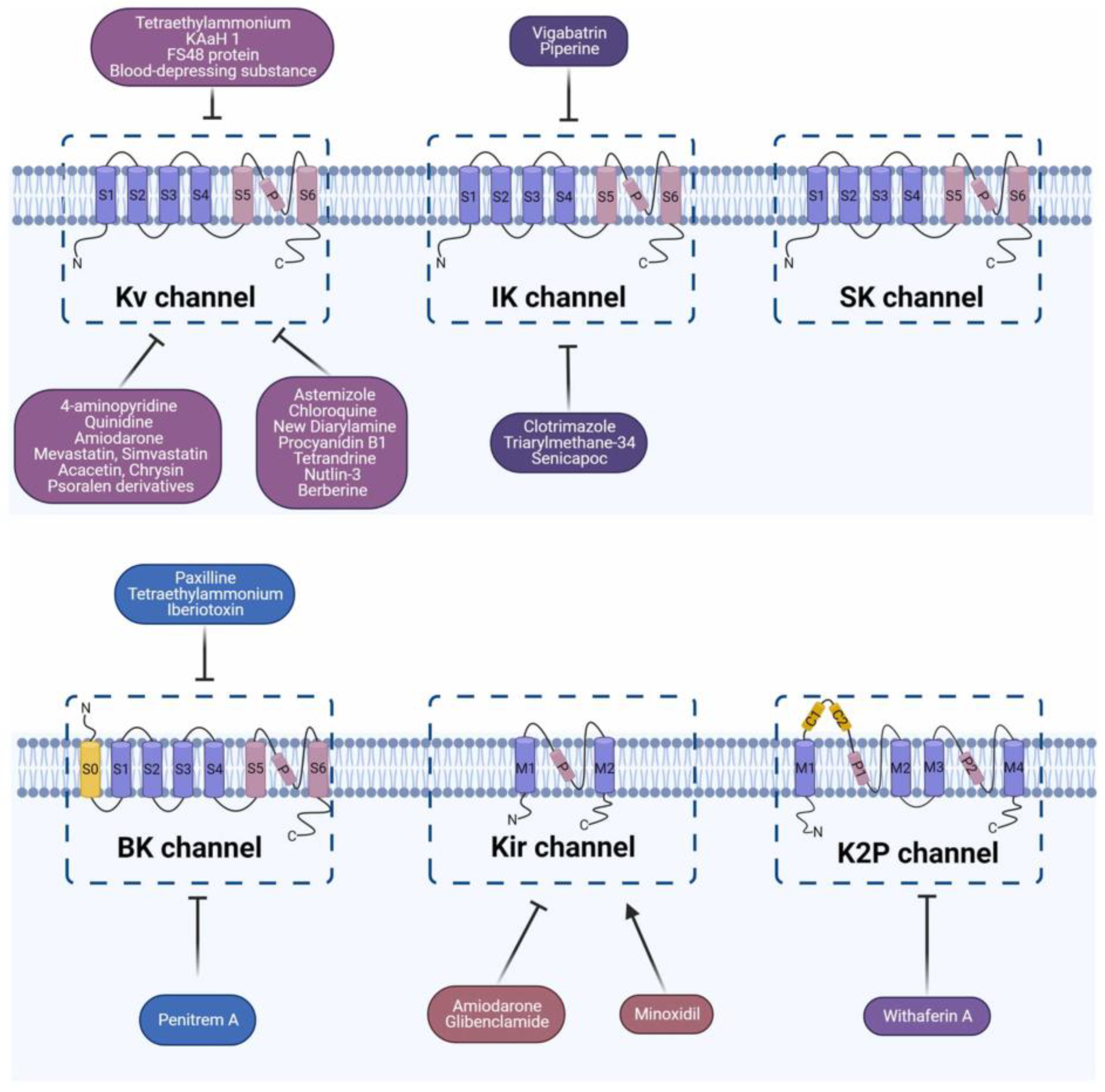 Pharmaceuticals 17 01735 g004 Pharmaceuticals 17 01735 g004