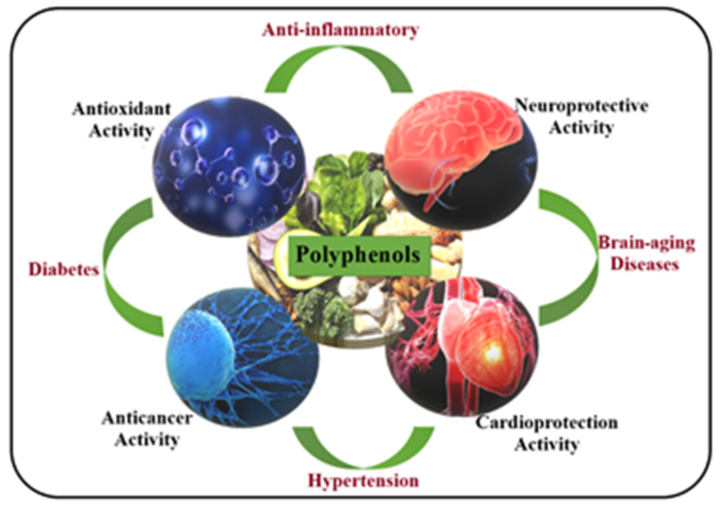 Pharmaceuticals 17 01738 g001 Pharmaceuticals 17 01738 g001
