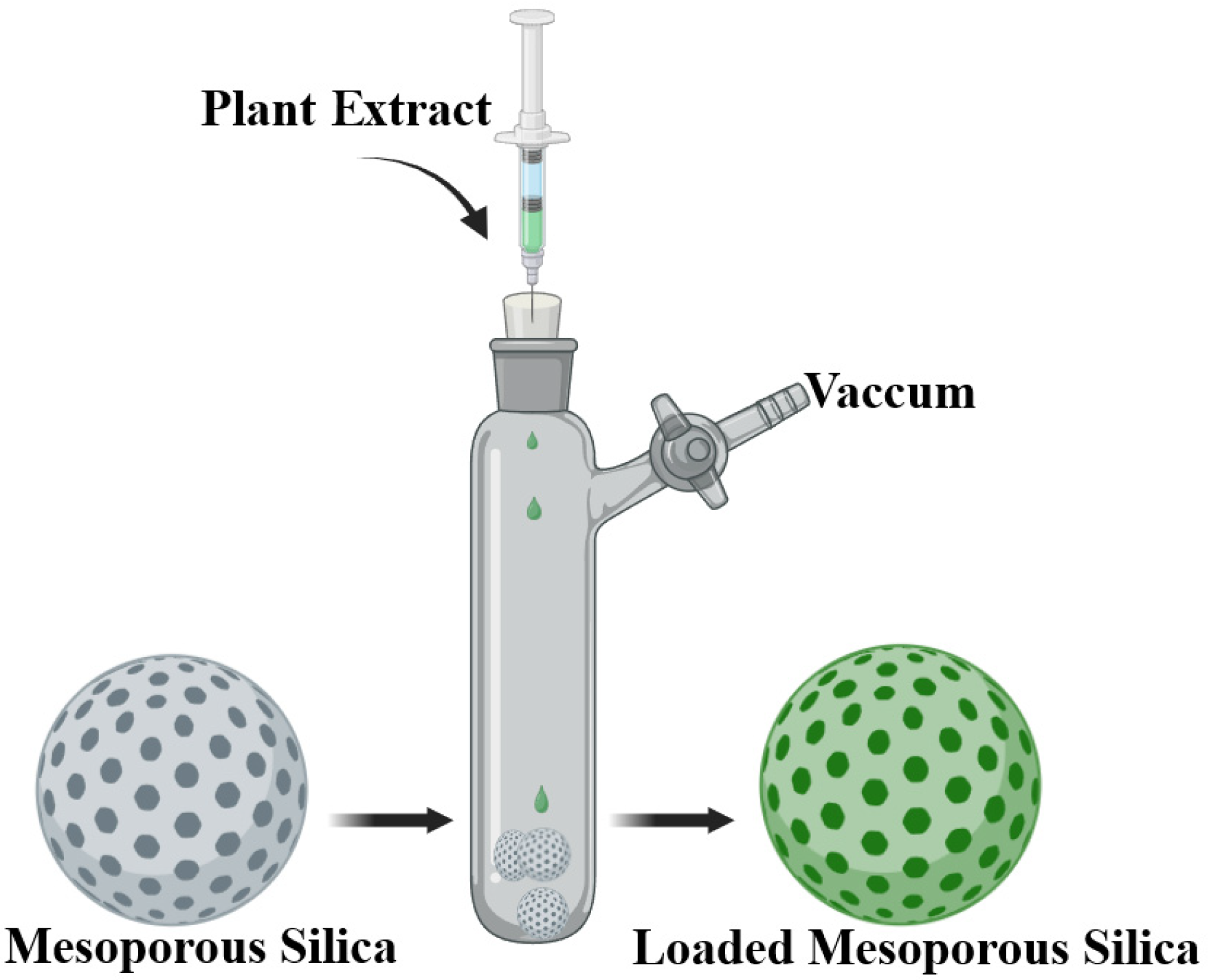 Pharmaceuticals 17 01738 g007 Pharmaceuticals 17 01738 g007