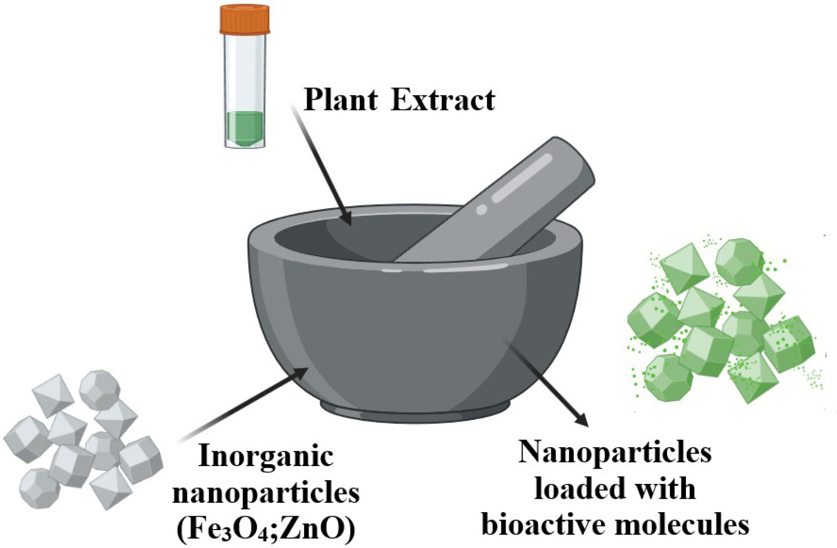 Pharmaceuticals 17 01738 g008 Pharmaceuticals 17 01738 g008