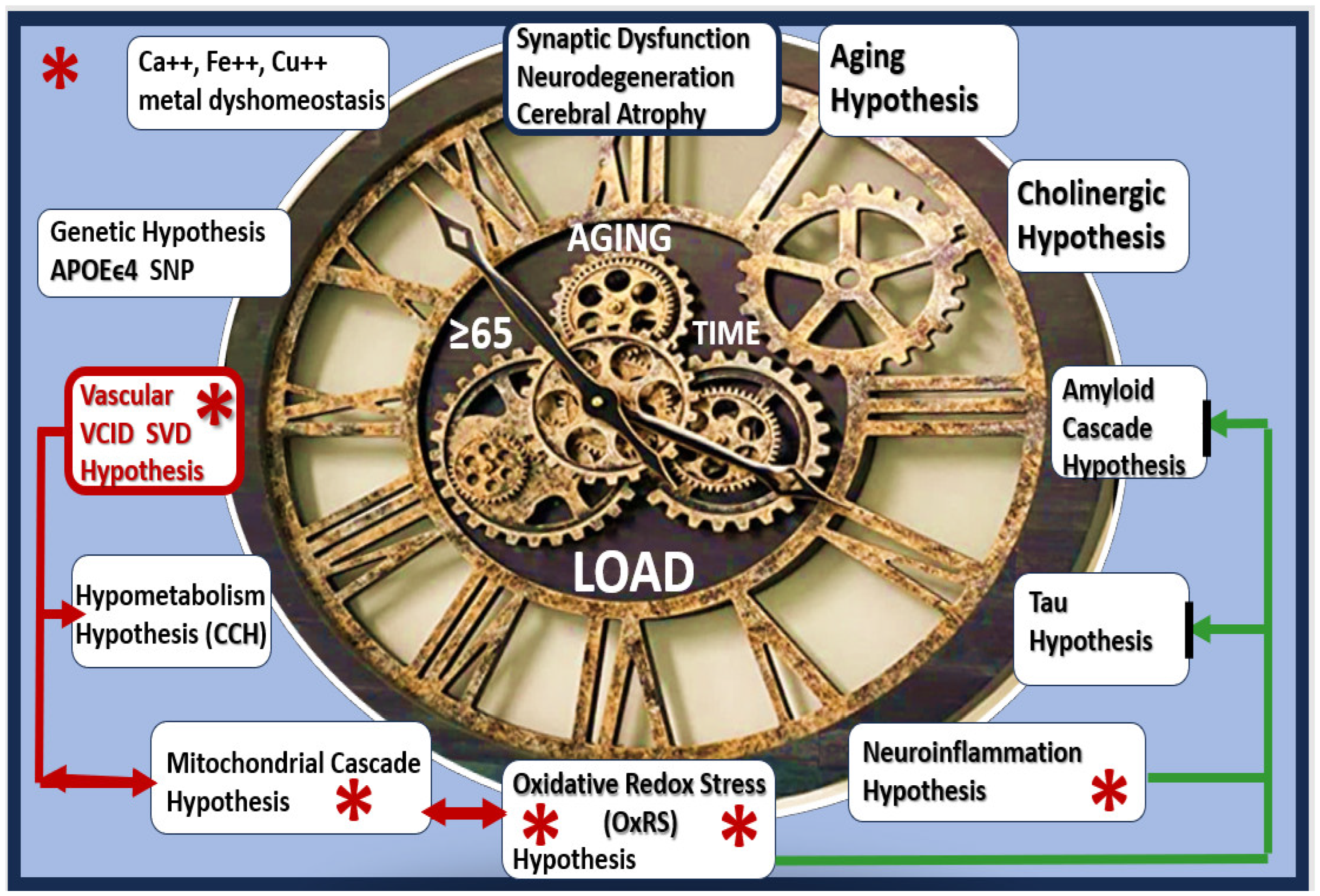 Pharmaceuticals 17 01741 g001