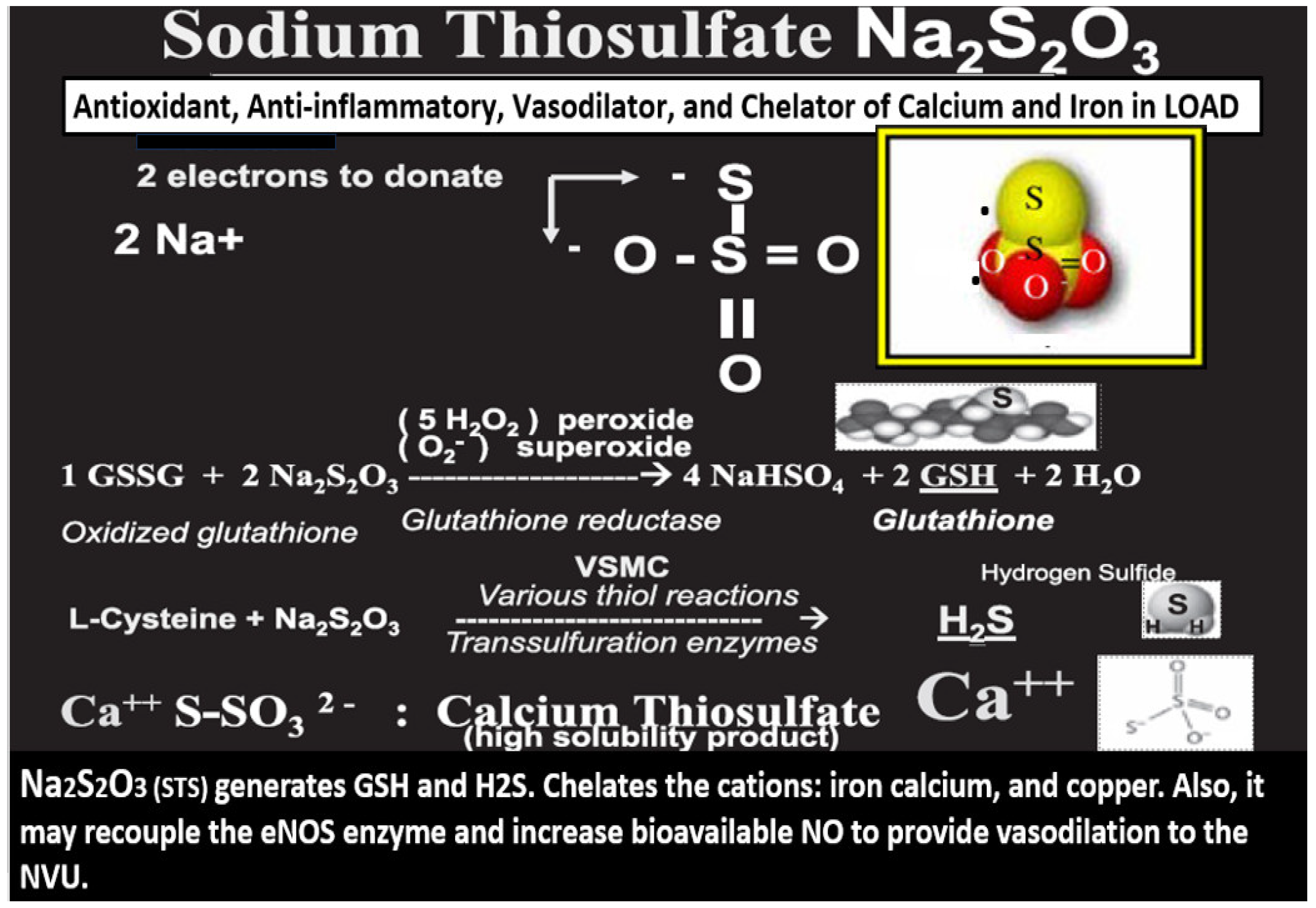 Pharmaceuticals 17 01741 g003
