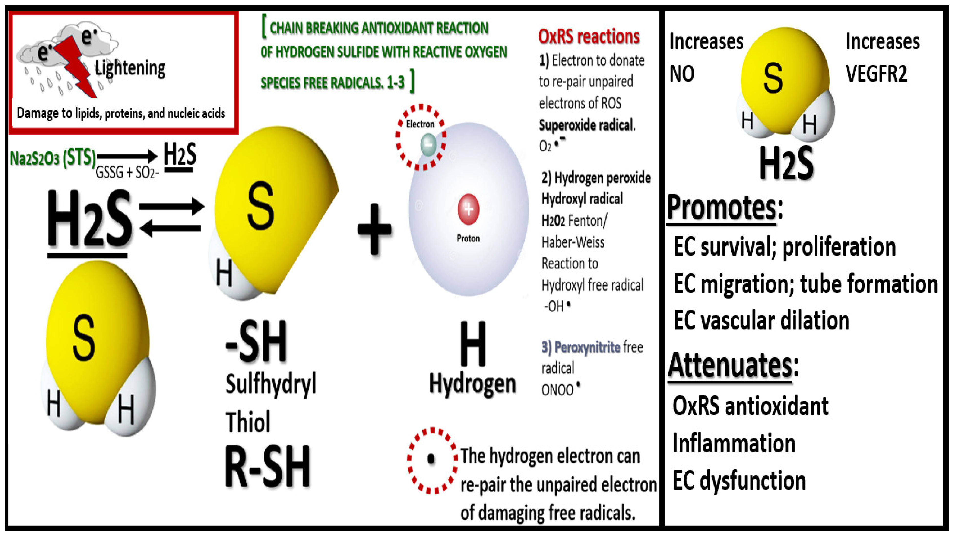 Pharmaceuticals 17 01741 g004