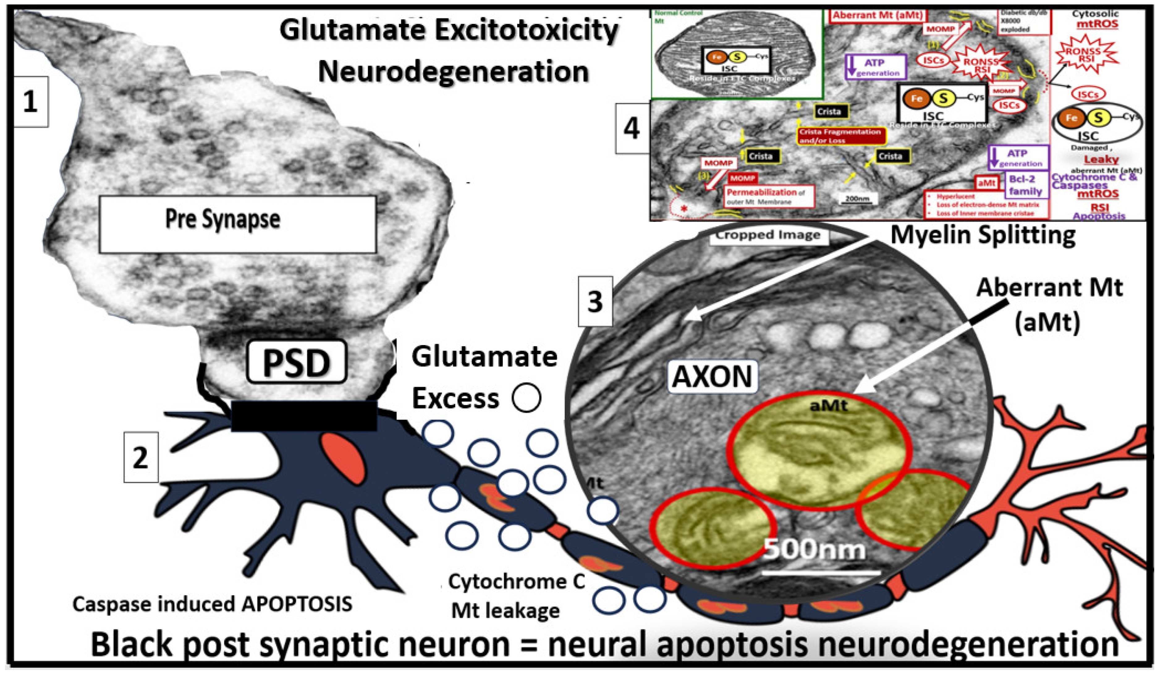 Pharmaceuticals 17 01741 g009