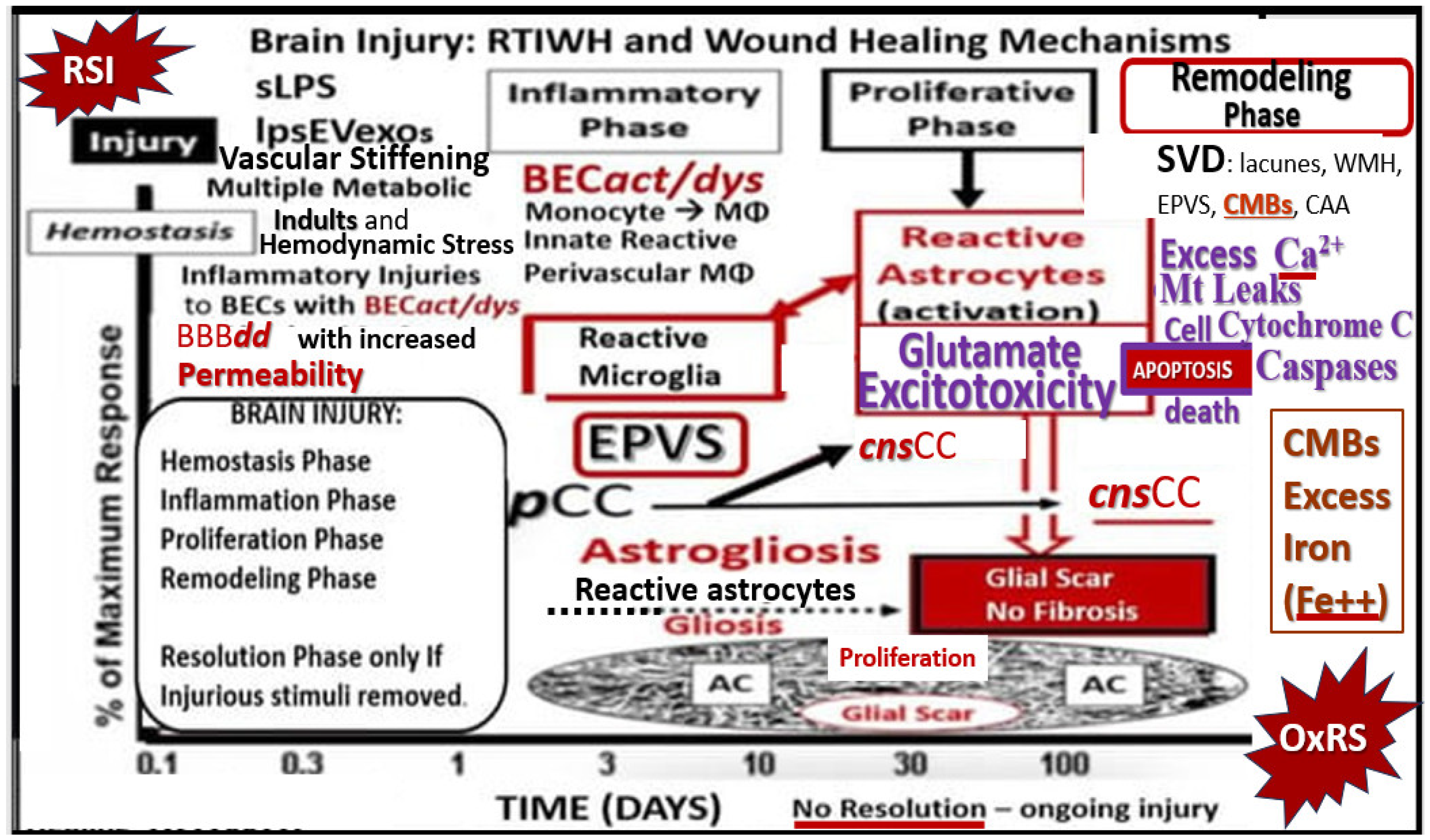 Pharmaceuticals 17 01741 g010