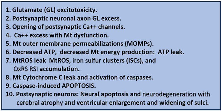 Pharmaceuticals 17 01741 i002