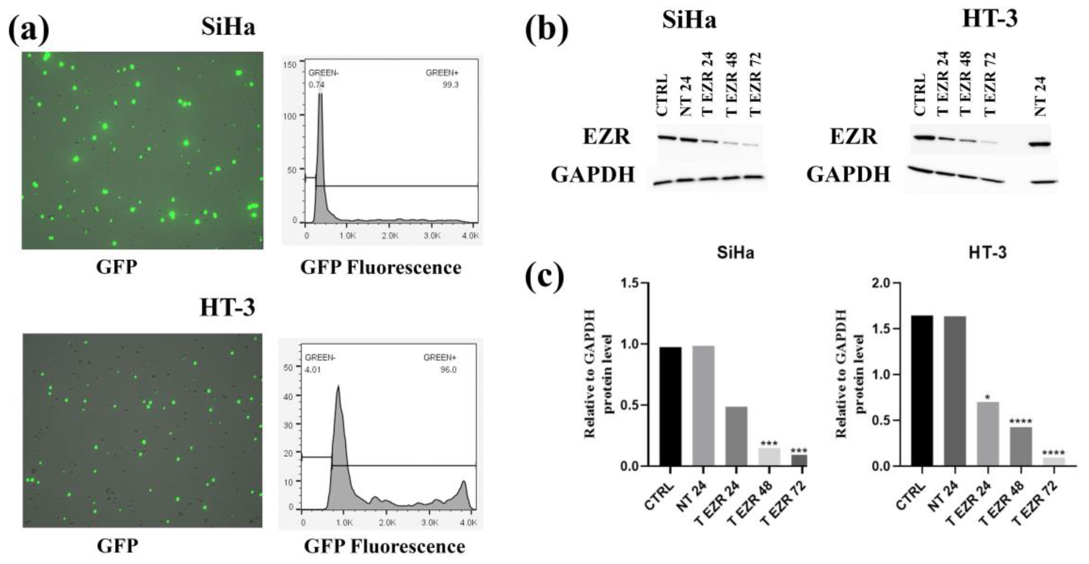 Pharmaceuticals 18 00003 g001