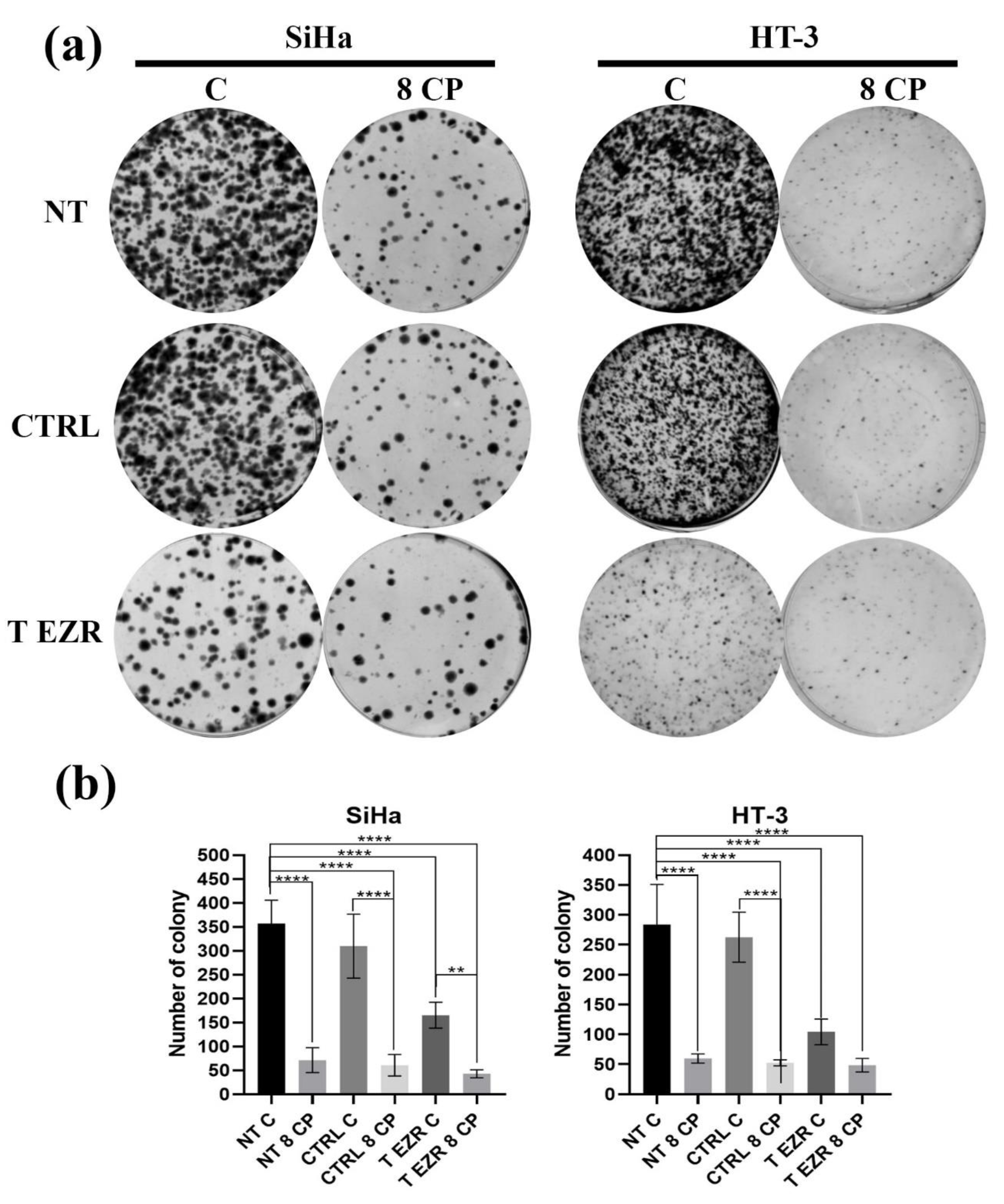 Pharmaceuticals 18 00003 g004