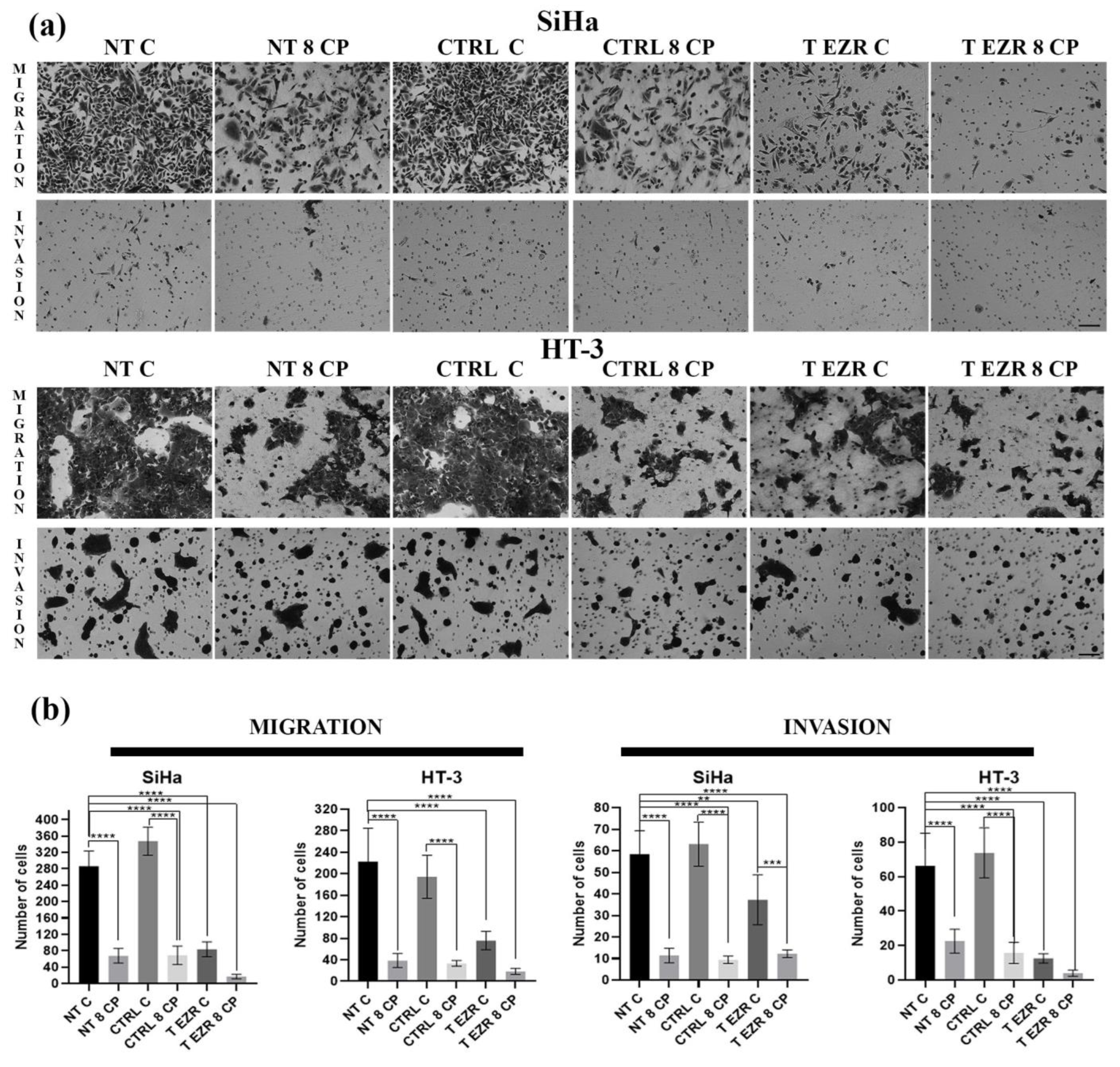 Pharmaceuticals 18 00003 g005