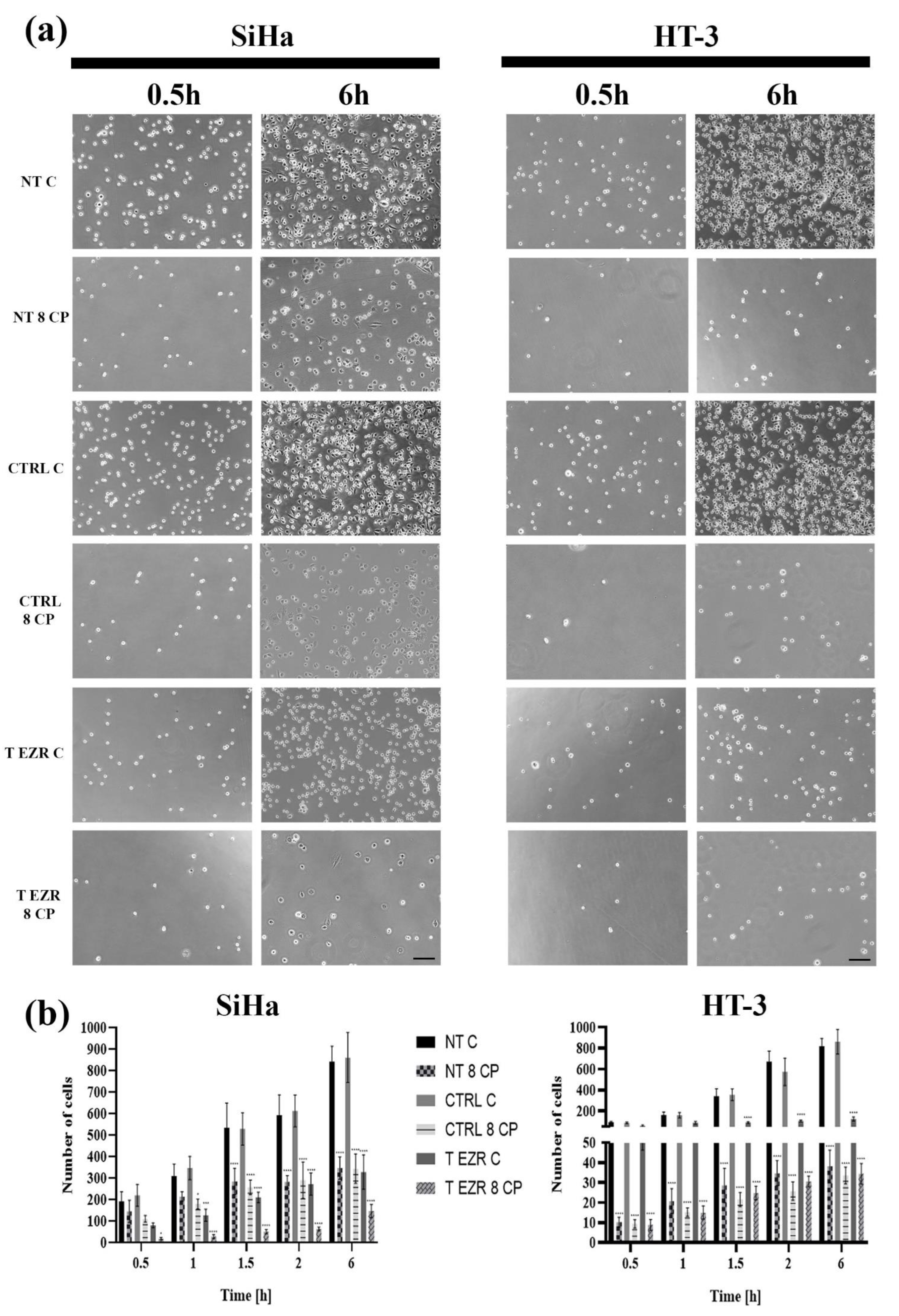 Pharmaceuticals 18 00003 g006