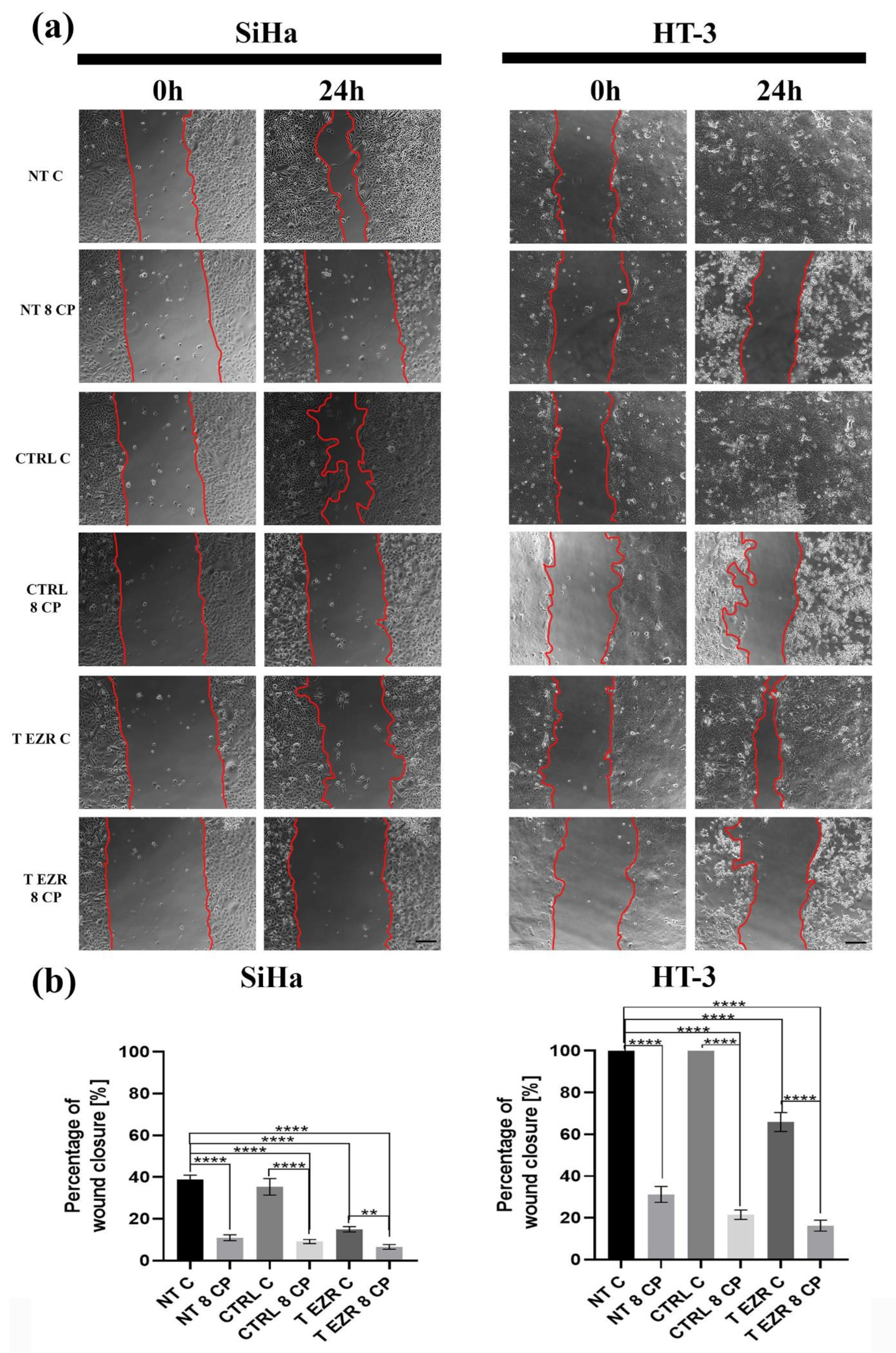 Pharmaceuticals 18 00003 g007