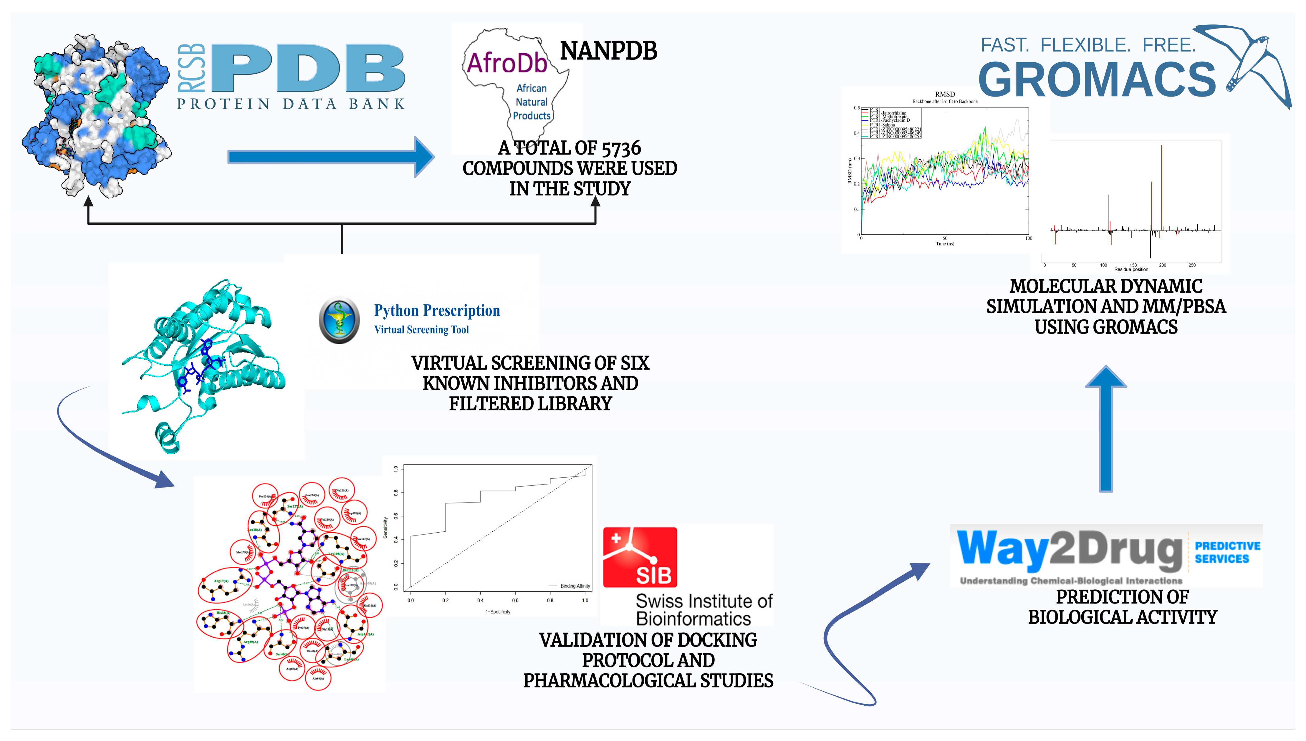 Pharmaceuticals 18 00006 g001