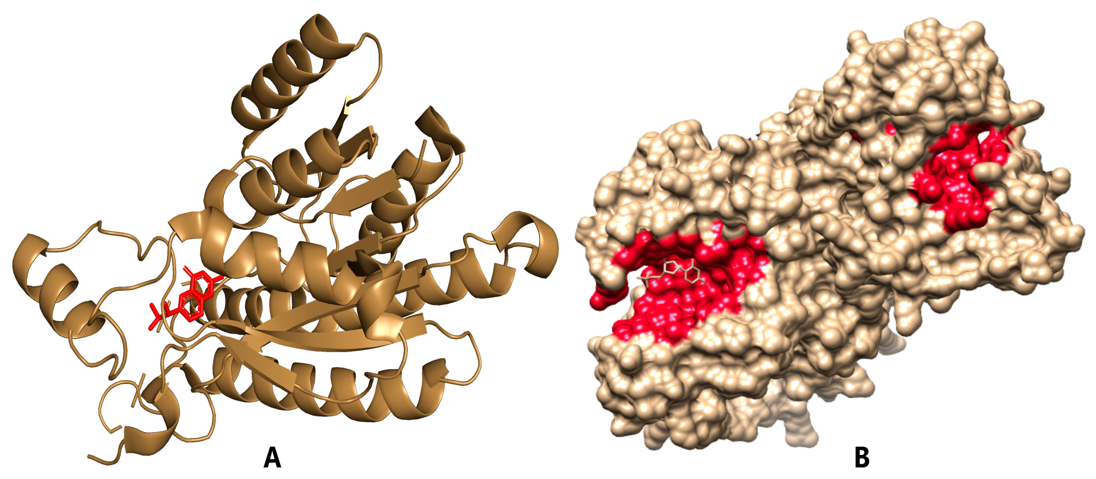 Pharmaceuticals 18 00006 g002