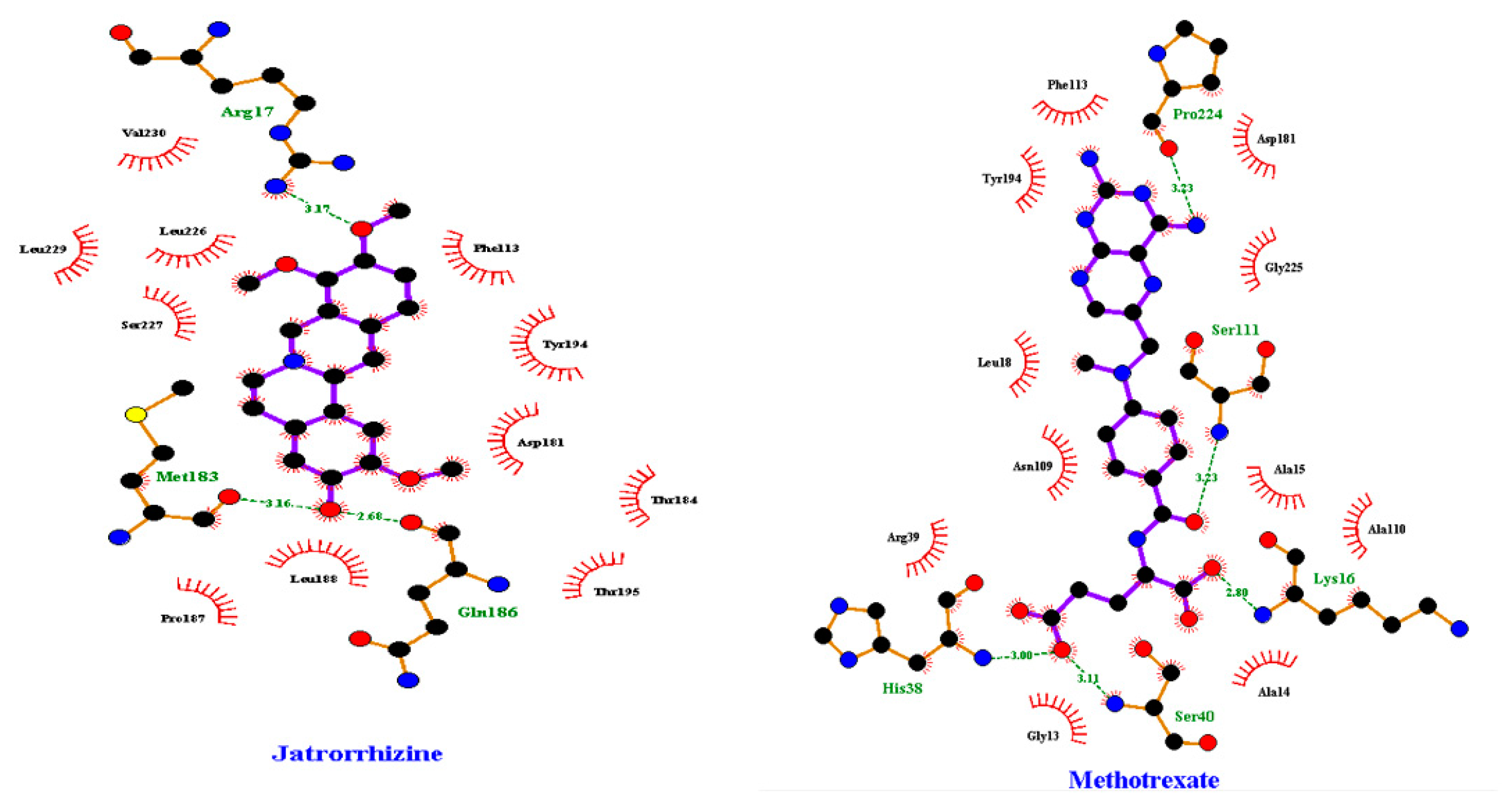 Pharmaceuticals 18 00006 g007
