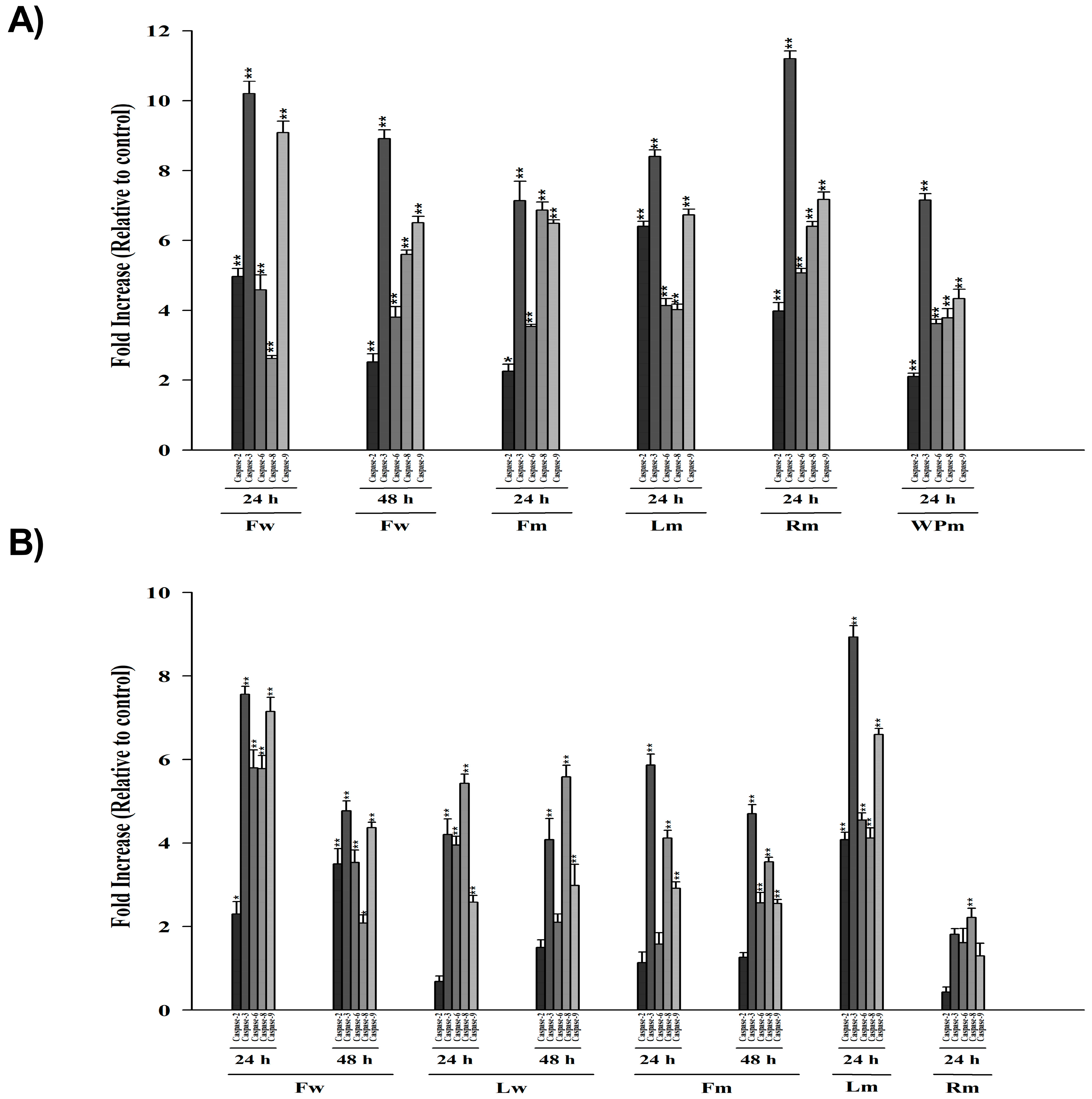 Pharmaceuticals 18 00010 g002 Pharmaceuticals 18 00010 g002