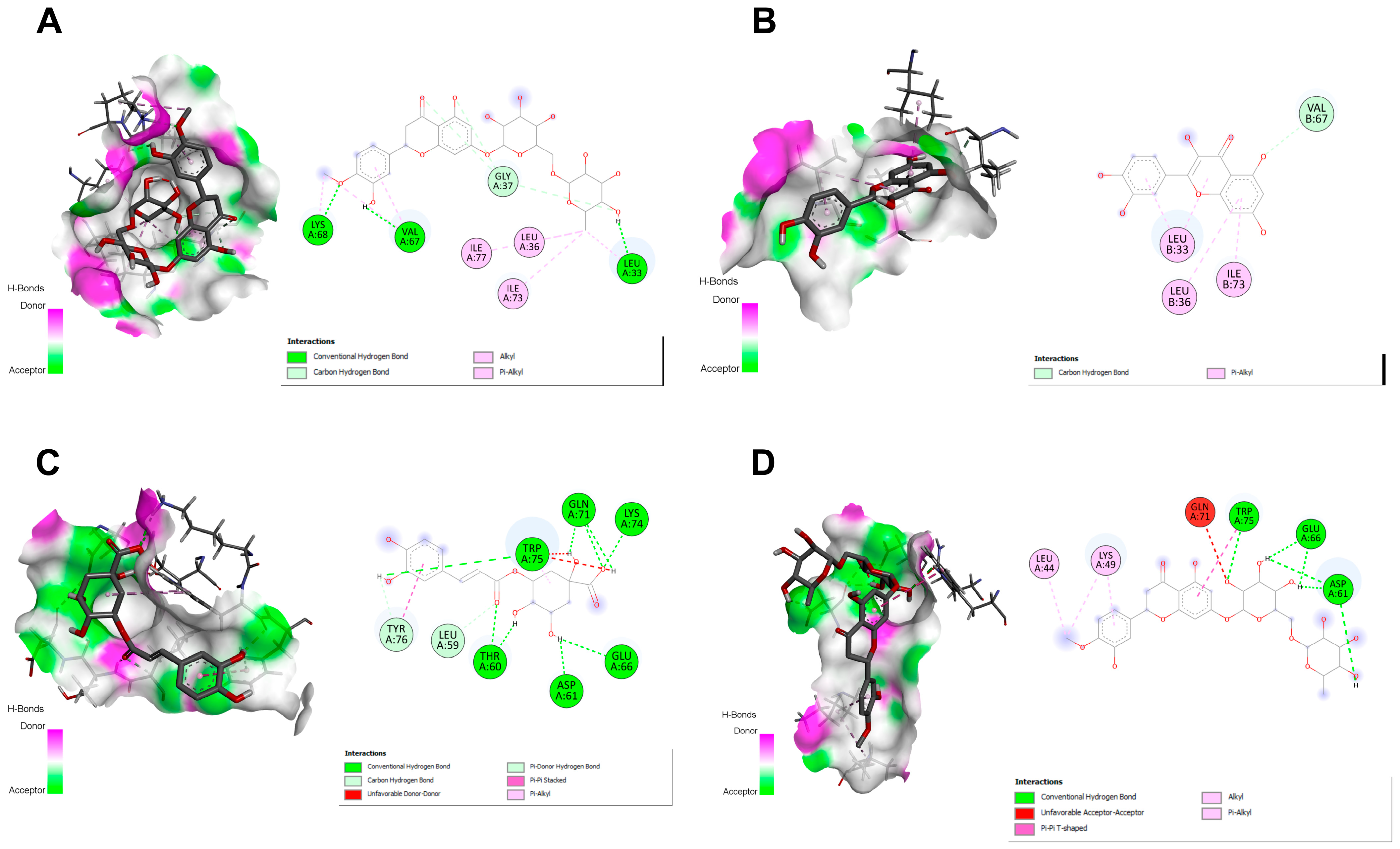 Pharmaceuticals 18 00010 g005 Pharmaceuticals 18 00010 g005