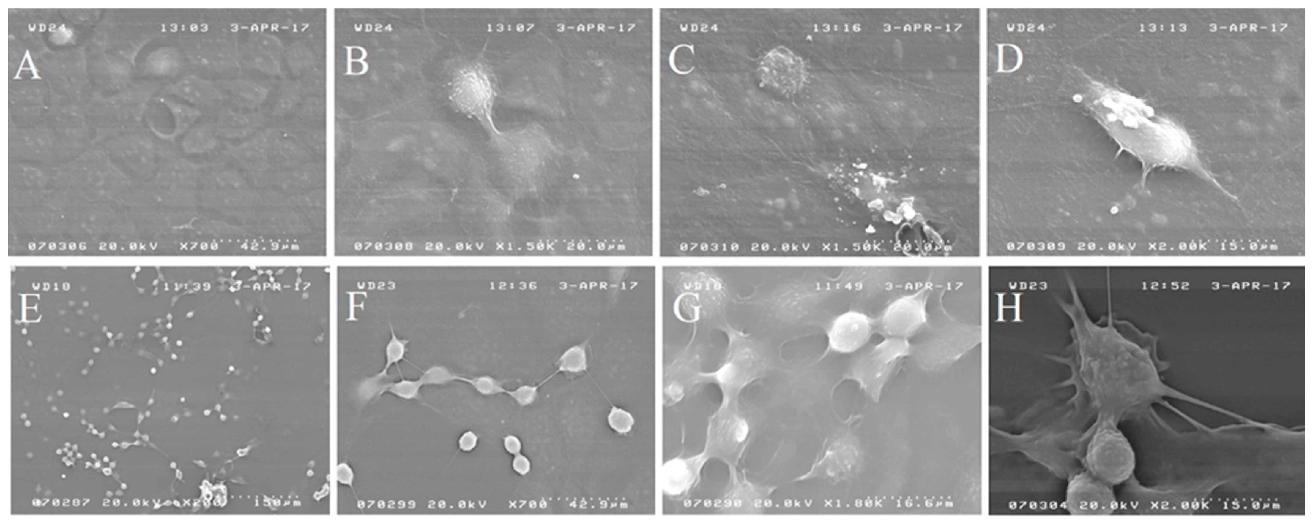 Pharmaceuticals 18 00011 g006 Pharmaceuticals 18 00011 g006