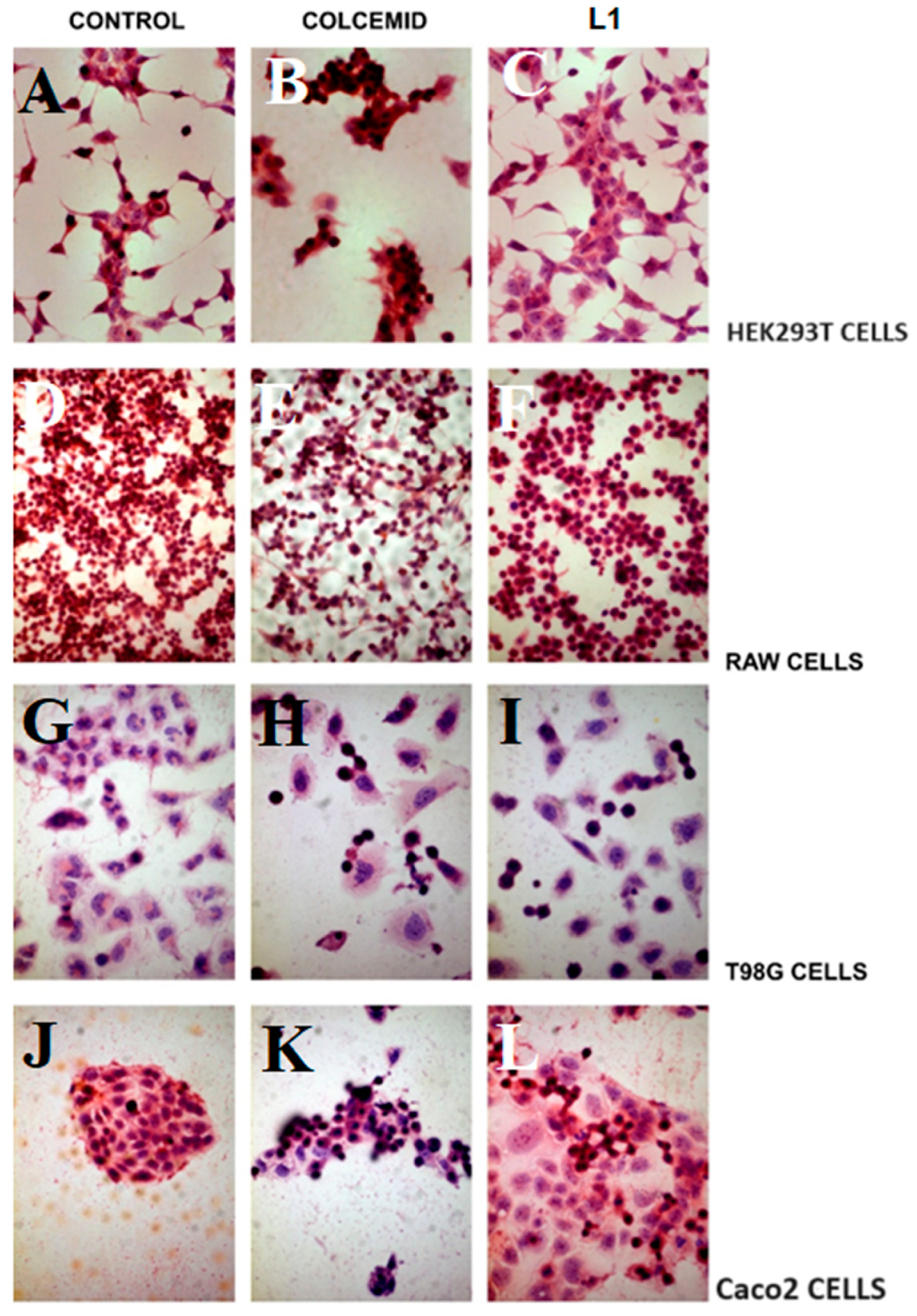 Pharmaceuticals 18 00011 g010 Pharmaceuticals 18 00011 g010