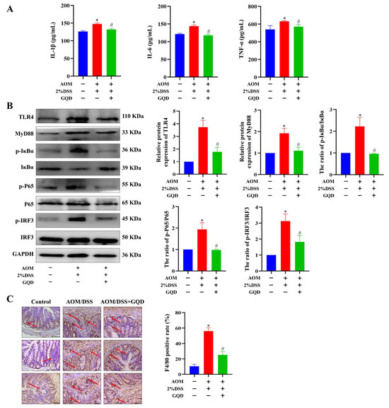 Gegen Qinlian Decoction Attenuates Colitis-Associated