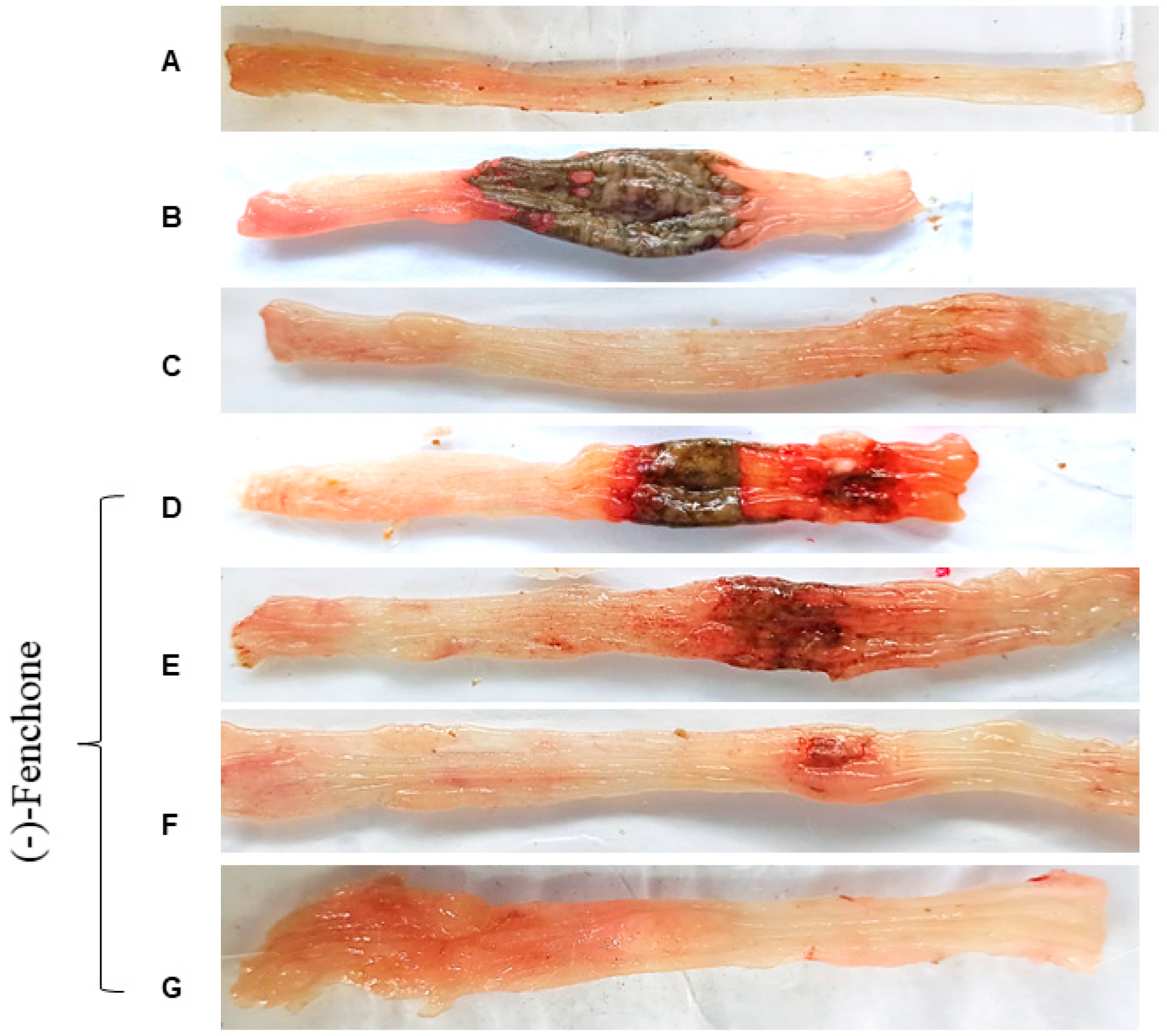 Pharmaceuticals 18 00018 g001