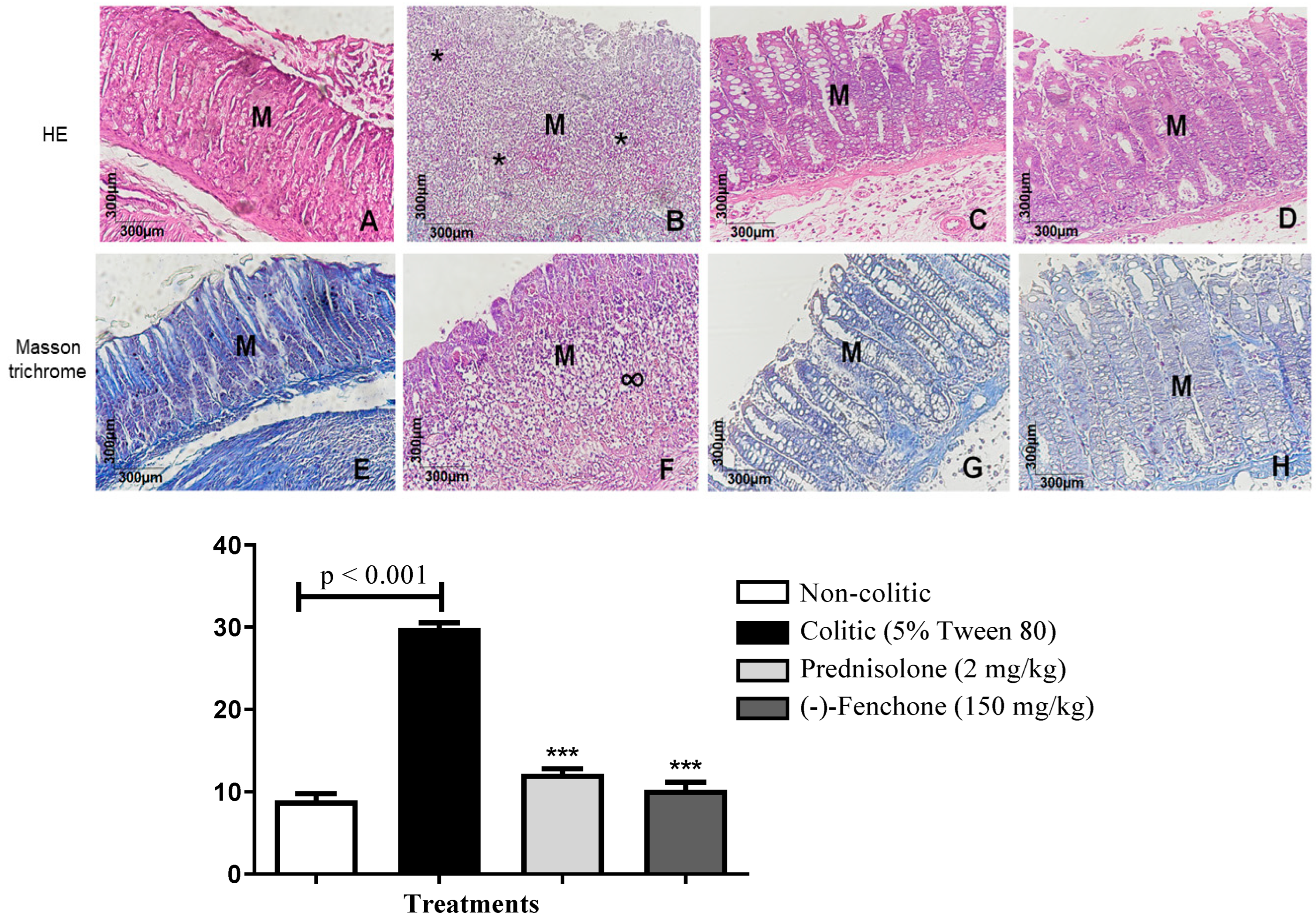 Pharmaceuticals 18 00018 g002
