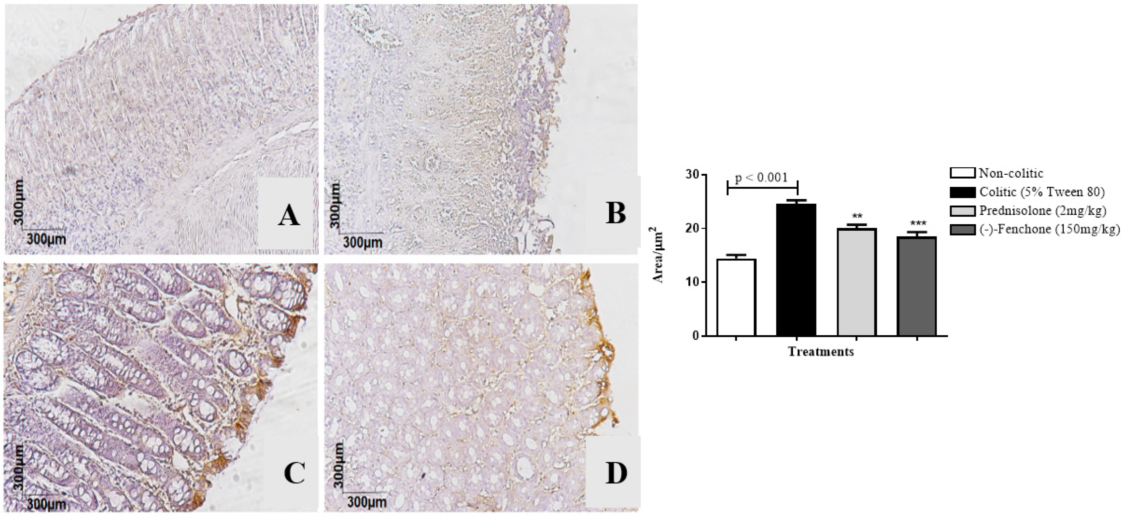 Pharmaceuticals 18 00018 g005