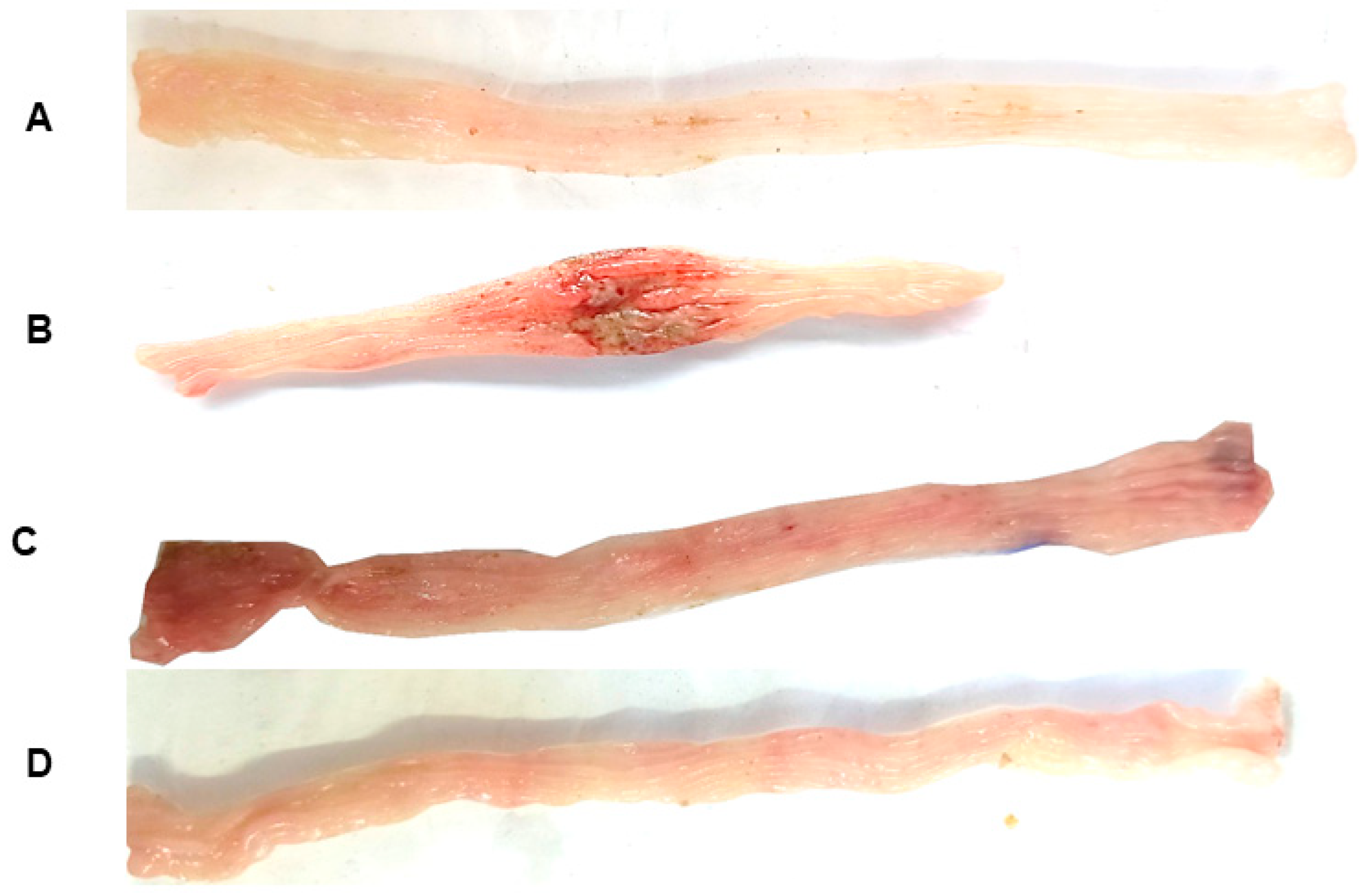 Pharmaceuticals 18 00018 g008