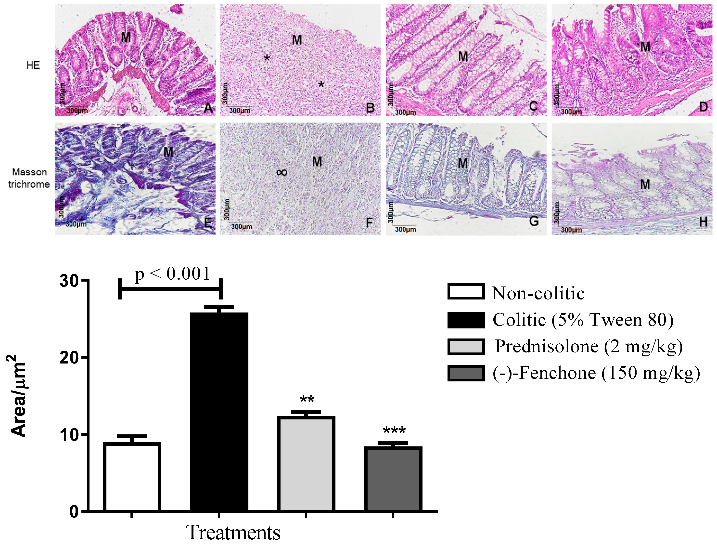 Pharmaceuticals 18 00018 g009