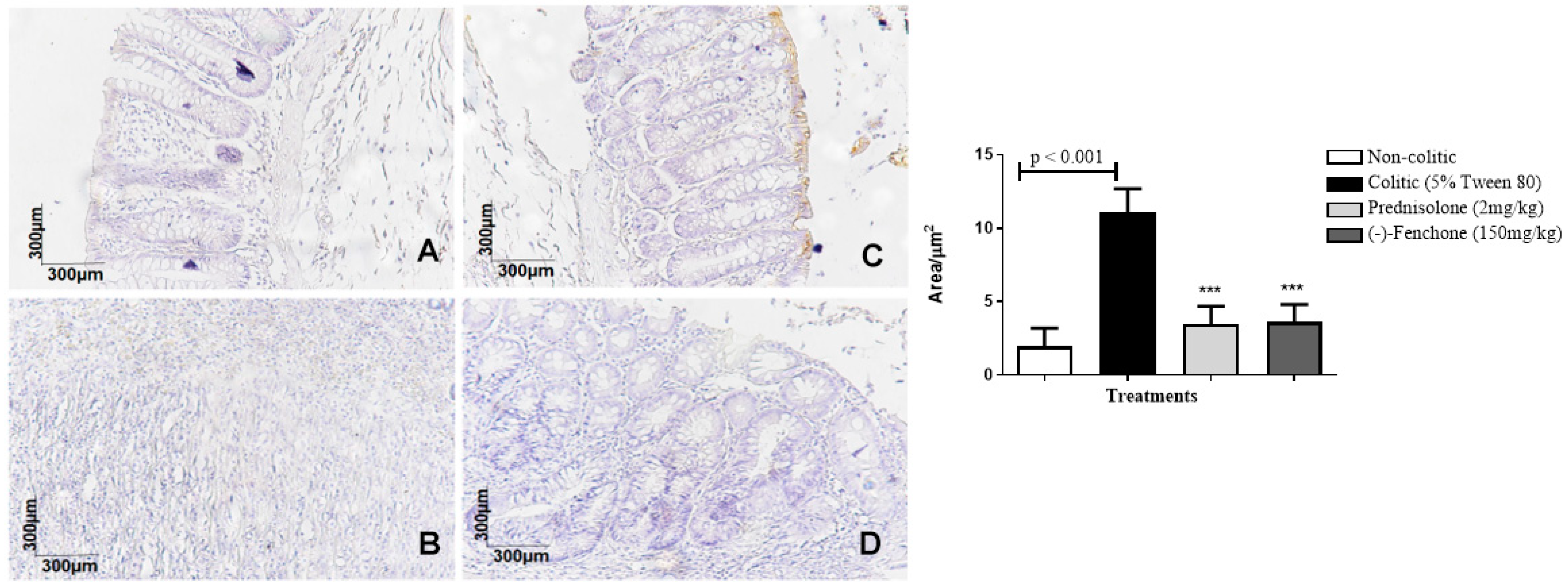 Pharmaceuticals 18 00018 g013
