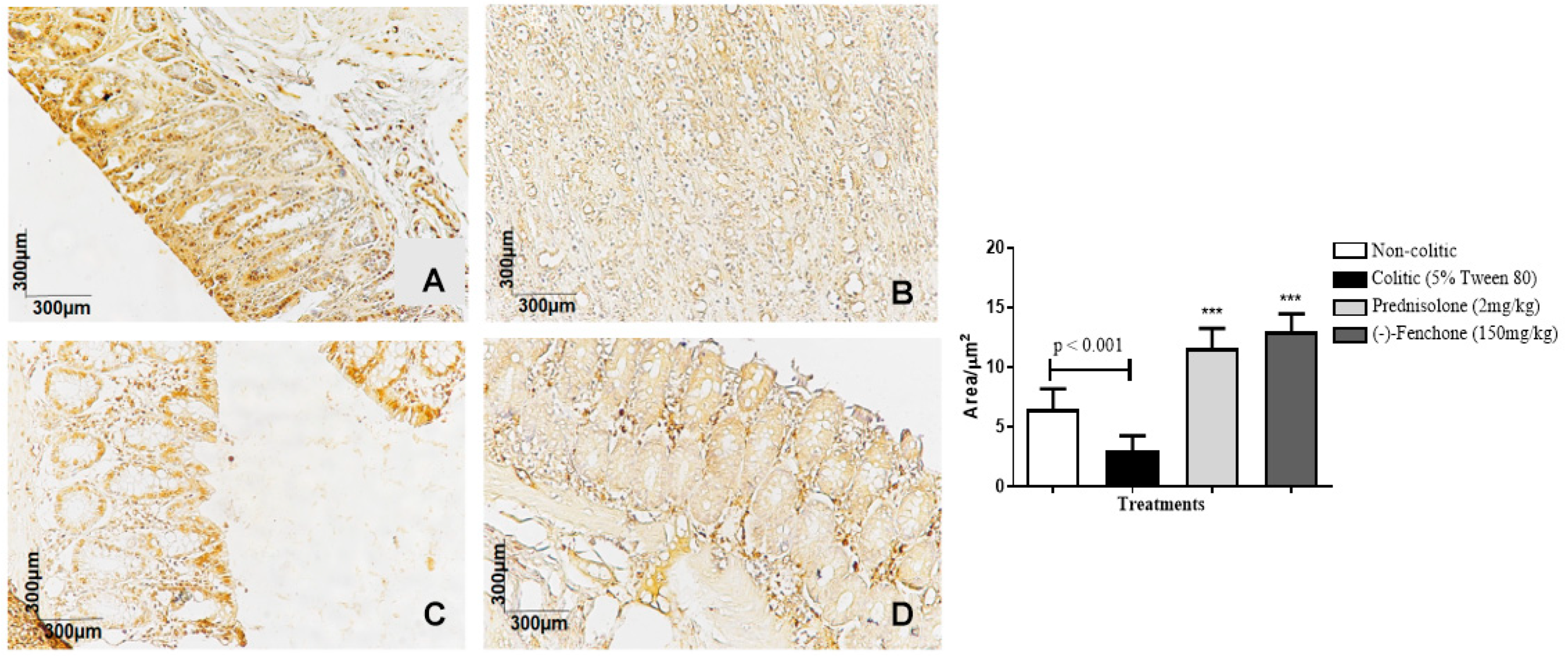 Pharmaceuticals 18 00018 g014