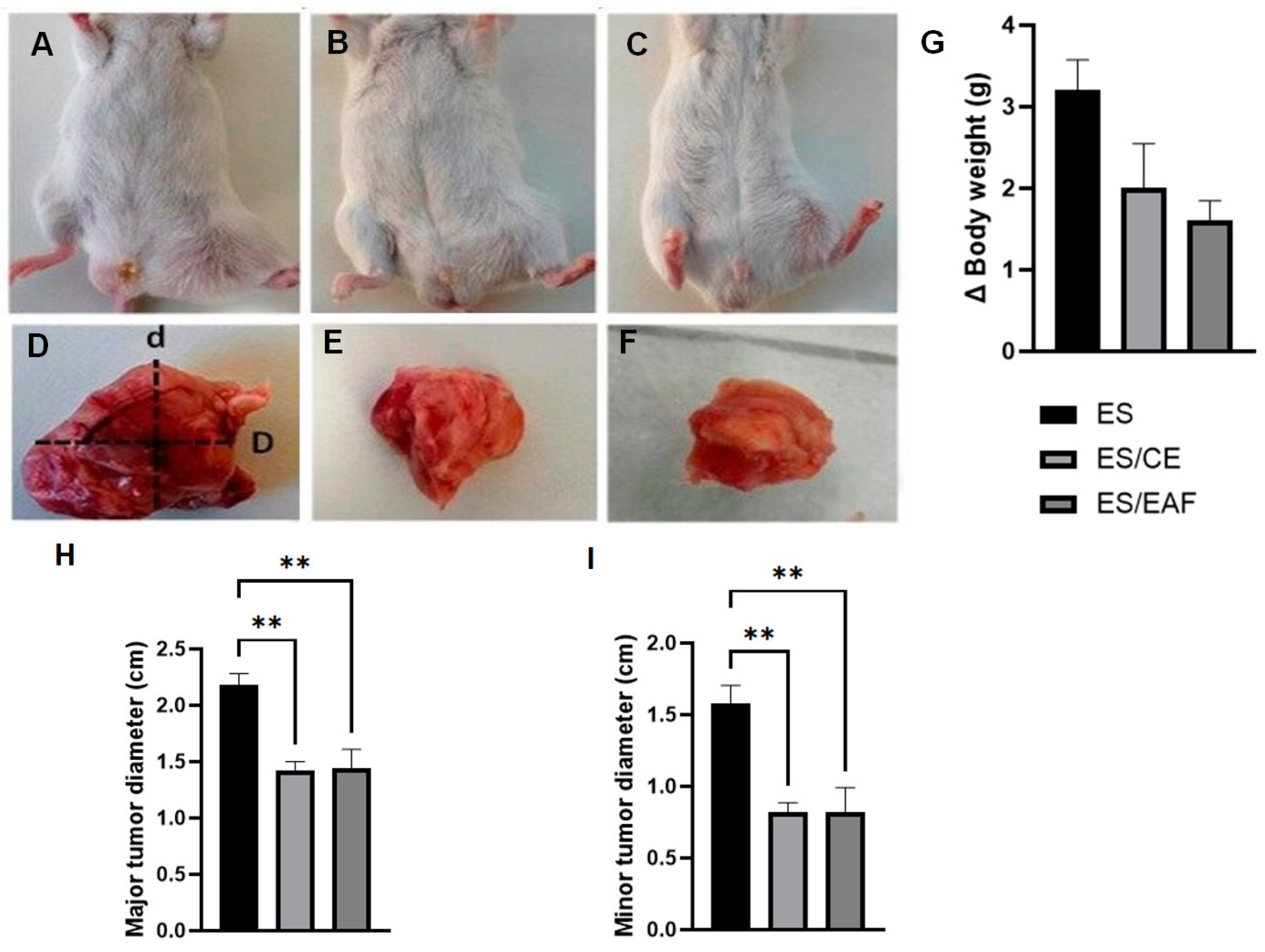 Pharmaceuticals 18 00024 g007 Pharmaceuticals 18 00024 g007
