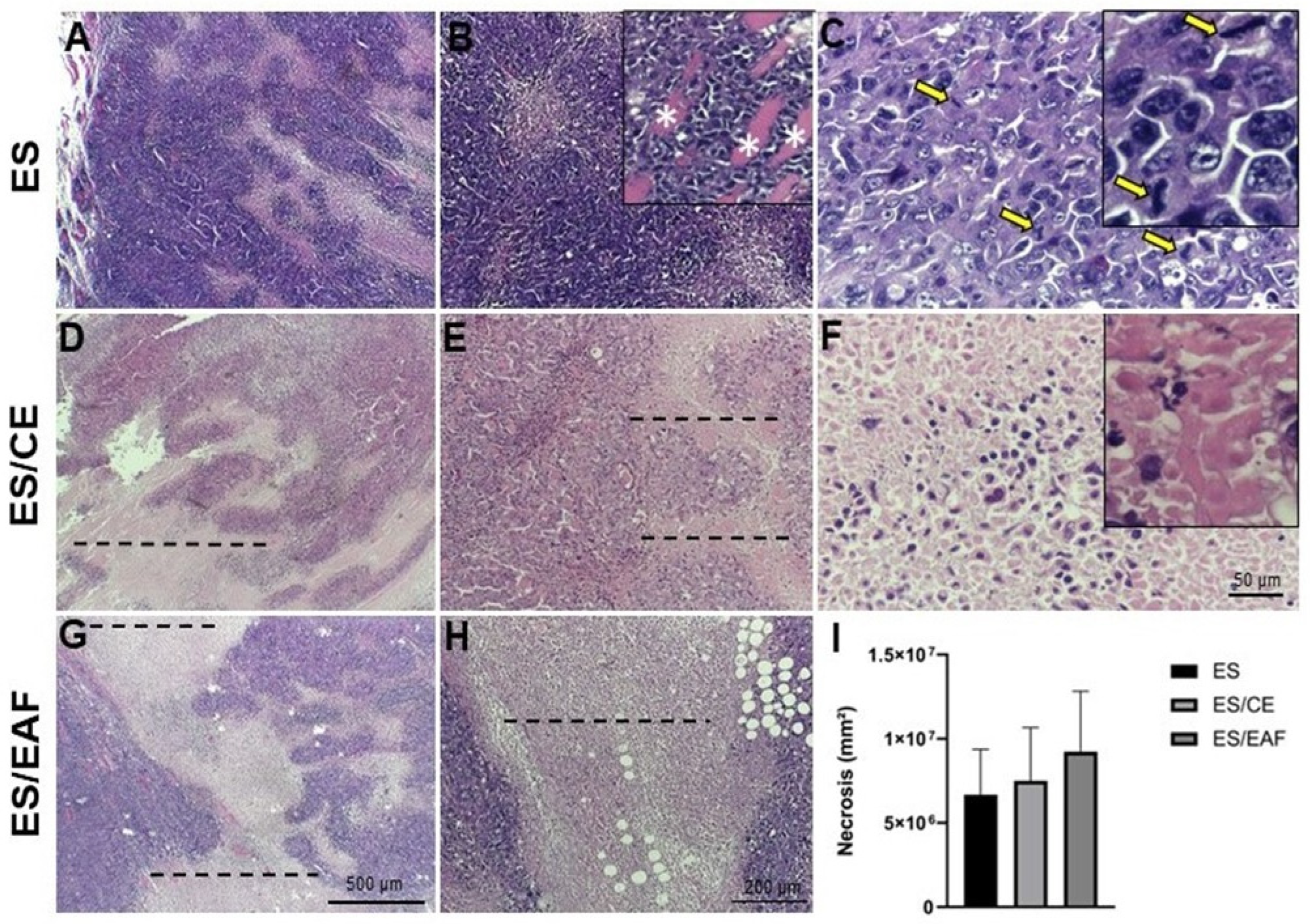 Pharmaceuticals 18 00024 g008 Pharmaceuticals 18 00024 g008