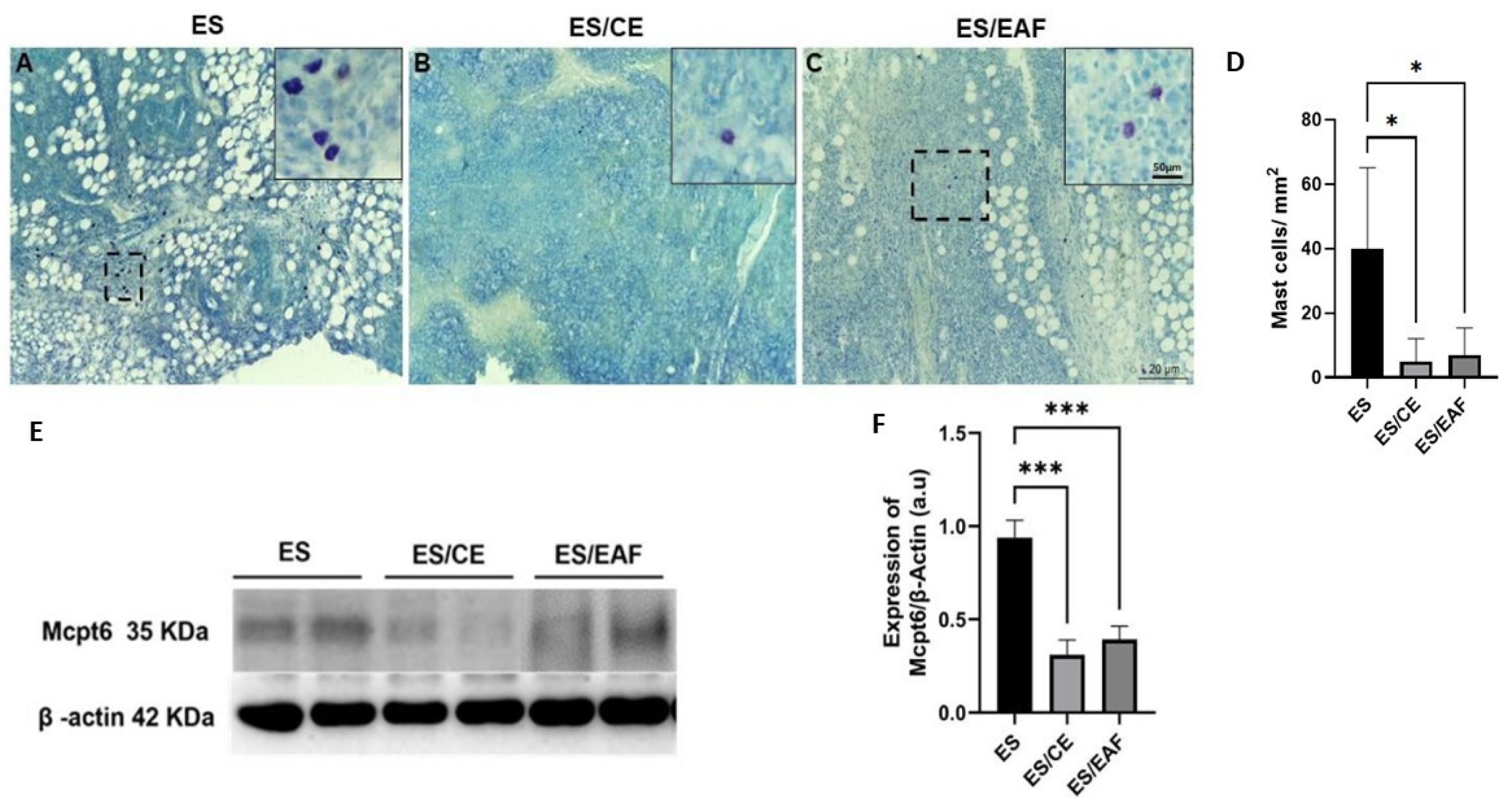 Pharmaceuticals 18 00024 g009 Pharmaceuticals 18 00024 g009