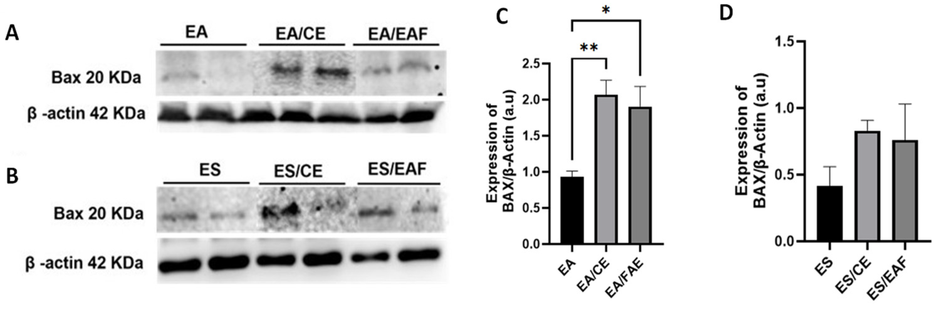Pharmaceuticals 18 00024 g010 Pharmaceuticals 18 00024 g010