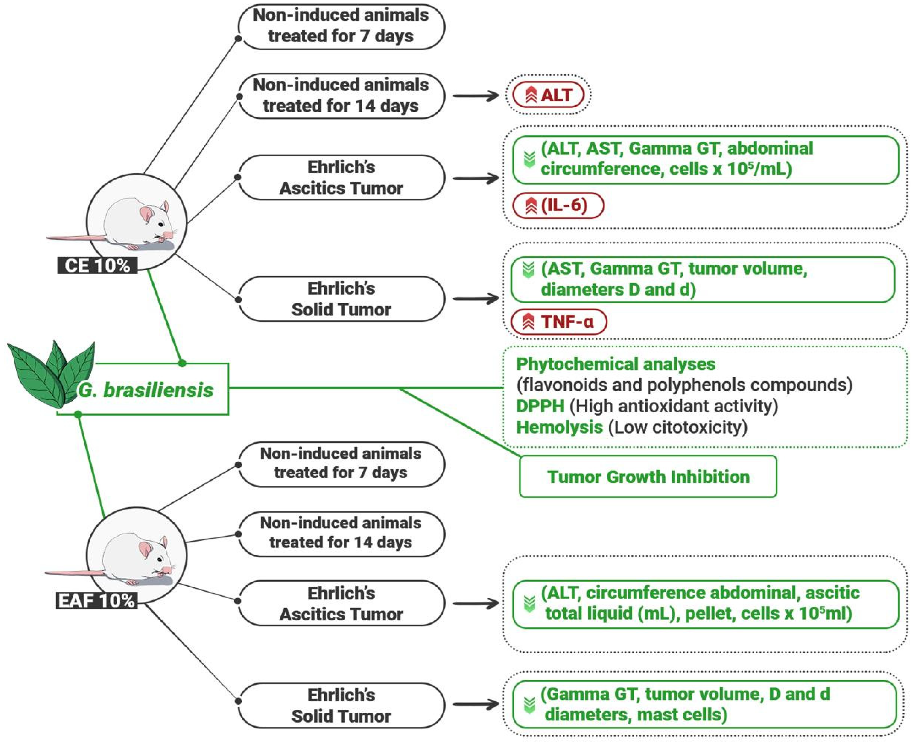 Pharmaceuticals 18 00024 g012 Pharmaceuticals 18 00024 g012