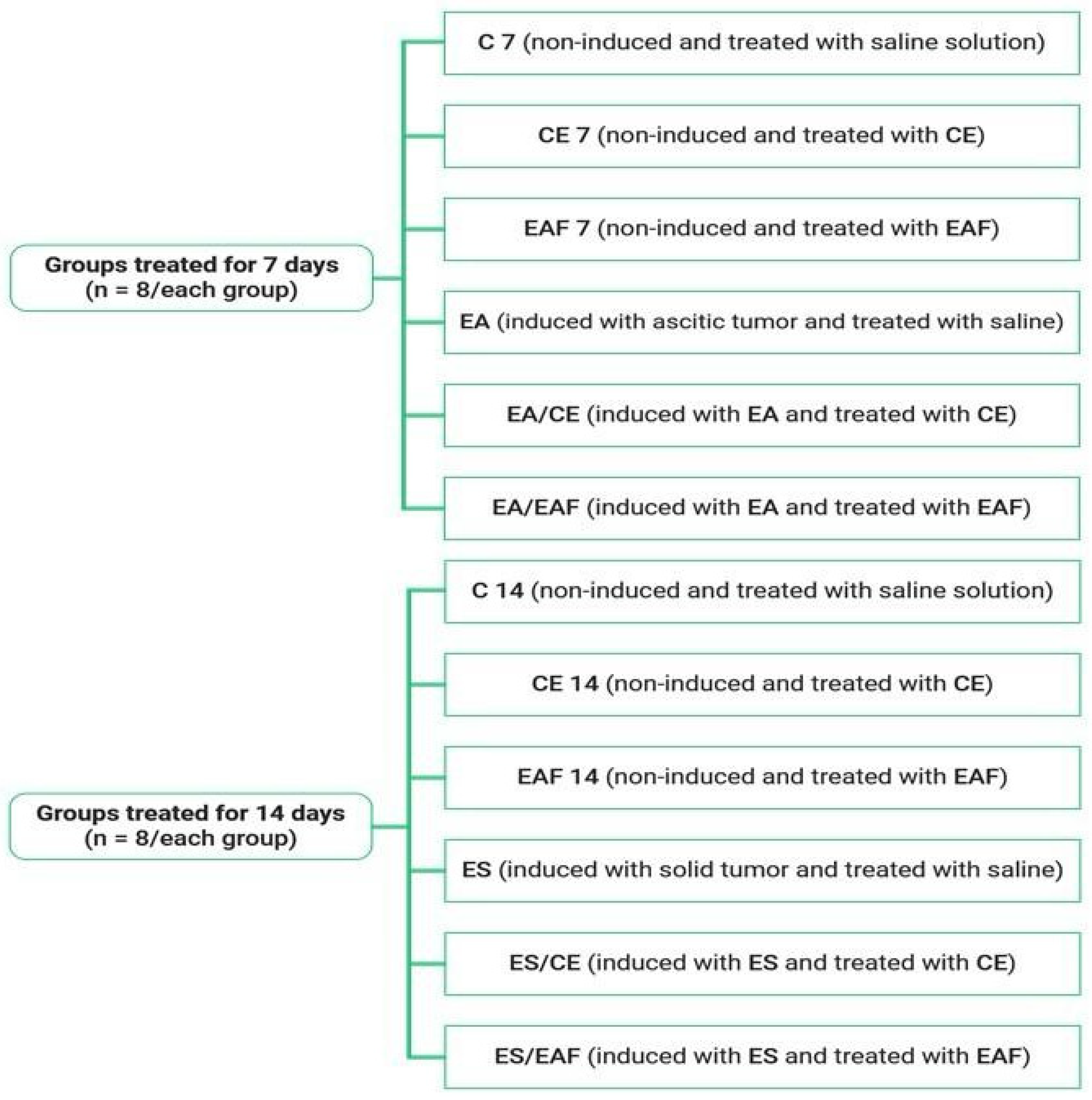 Pharmaceuticals 18 00024 g013 Pharmaceuticals 18 00024 g013