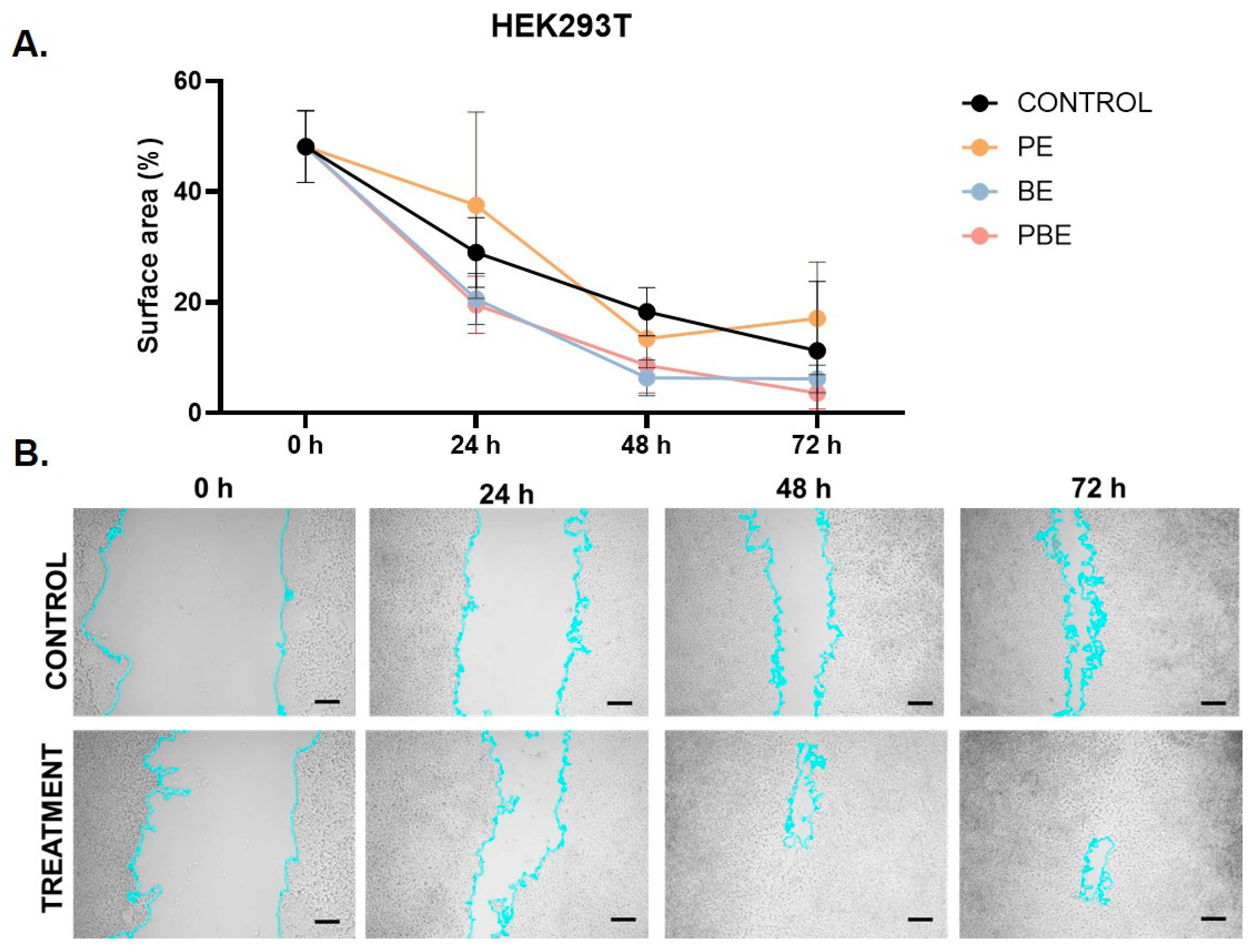Pharmaceuticals 18 00027 g004