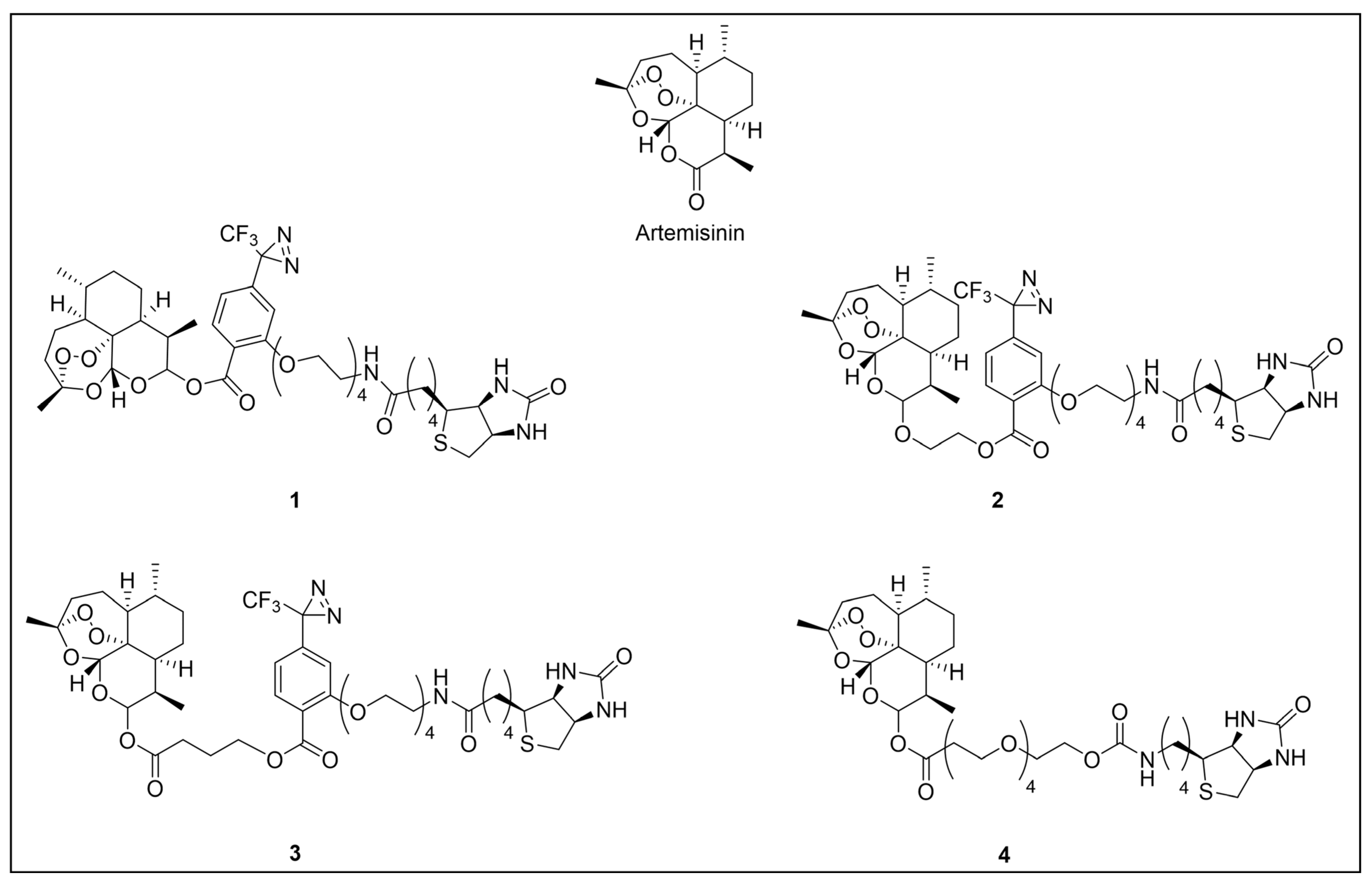 Pharmaceuticals 18 00028 g006 Pharmaceuticals 18 00028 g006