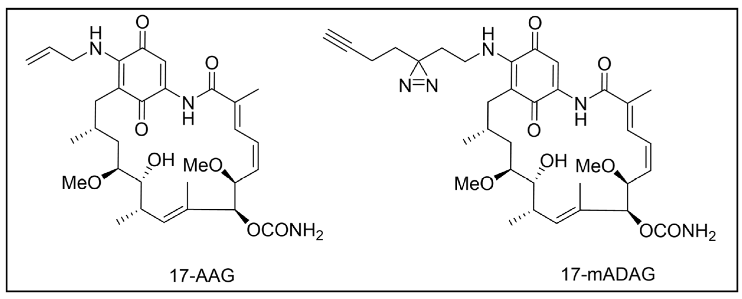 Pharmaceuticals 18 00028 g010 Pharmaceuticals 18 00028 g010