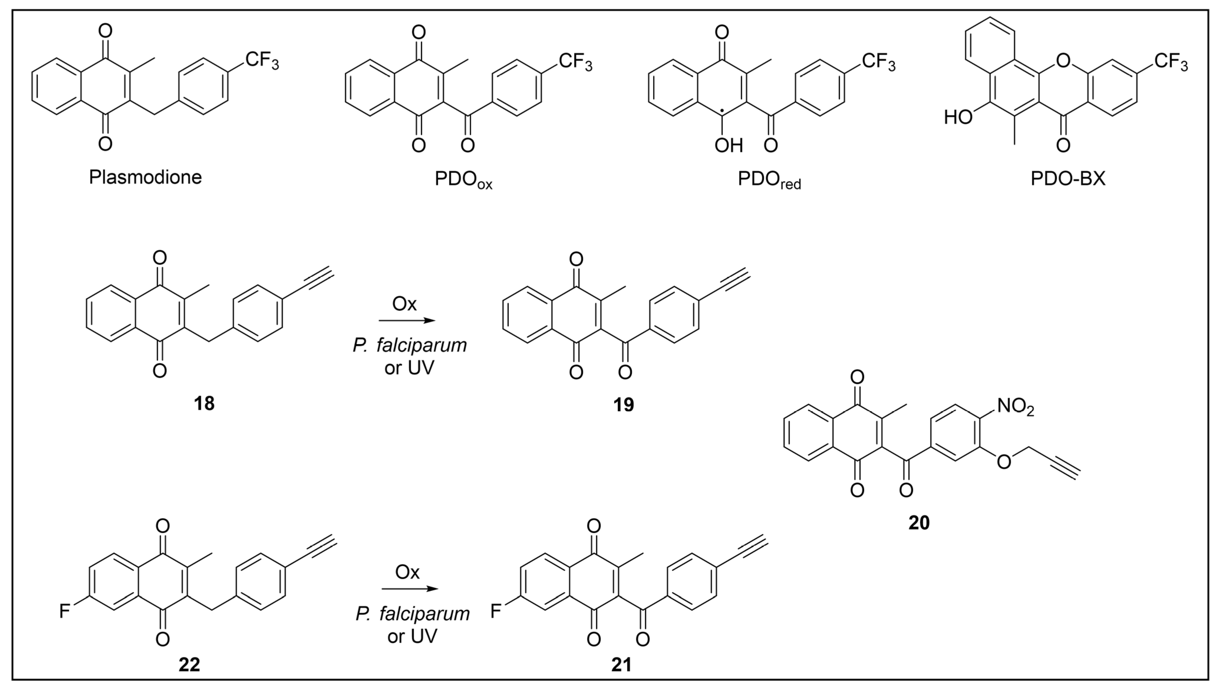 Pharmaceuticals 18 00028 g015 Pharmaceuticals 18 00028 g015
