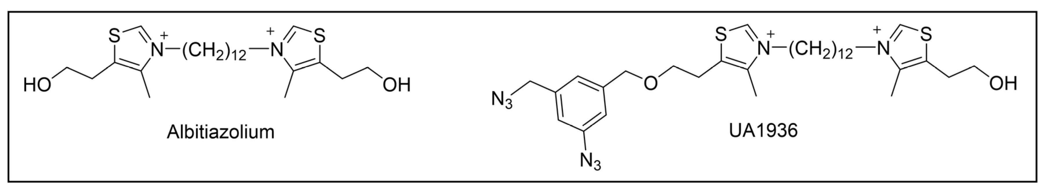 Pharmaceuticals 18 00028 g022 Pharmaceuticals 18 00028 g022