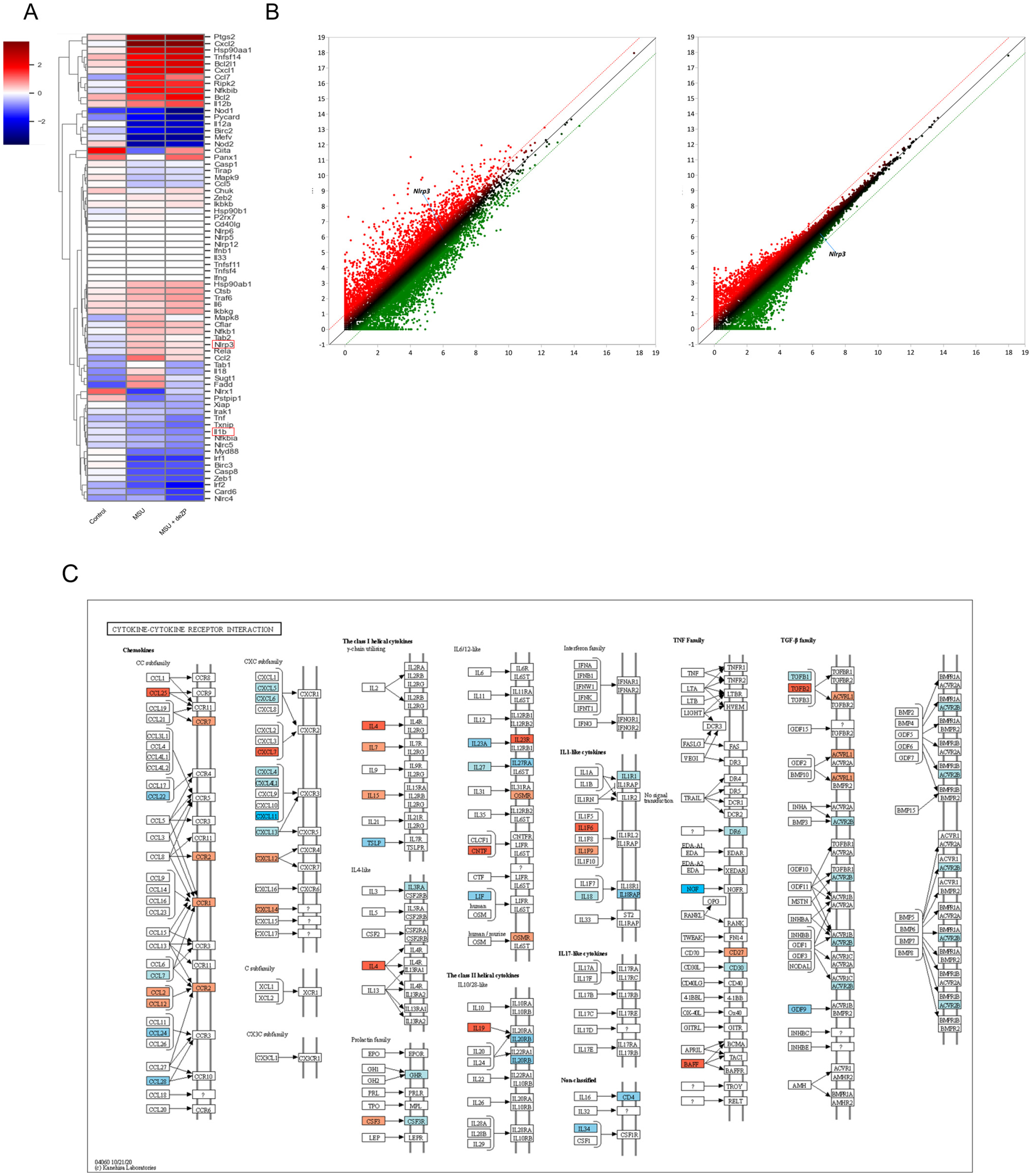 Pharmaceuticals 18 00029 g002a