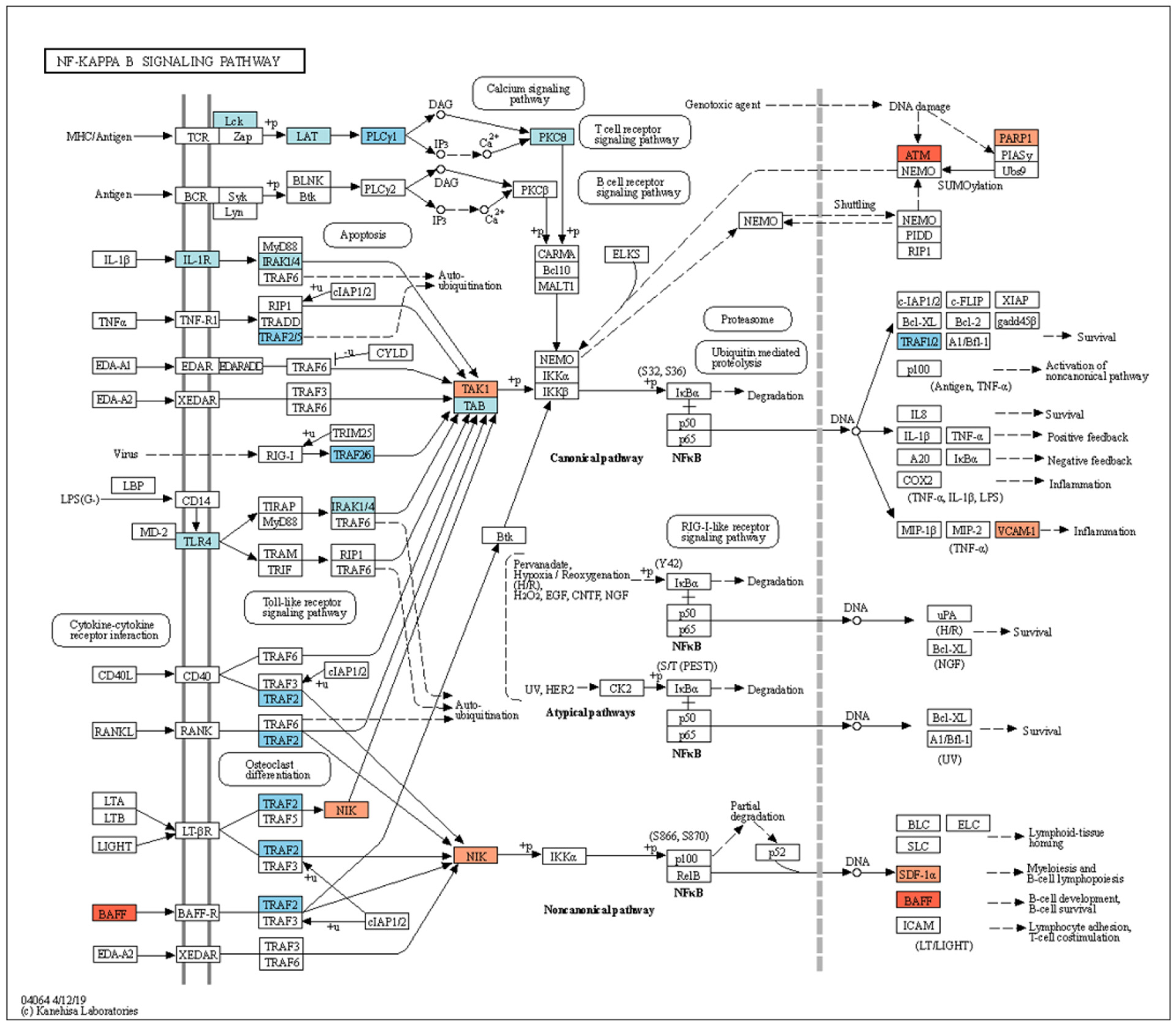 Pharmaceuticals 18 00029 g002b