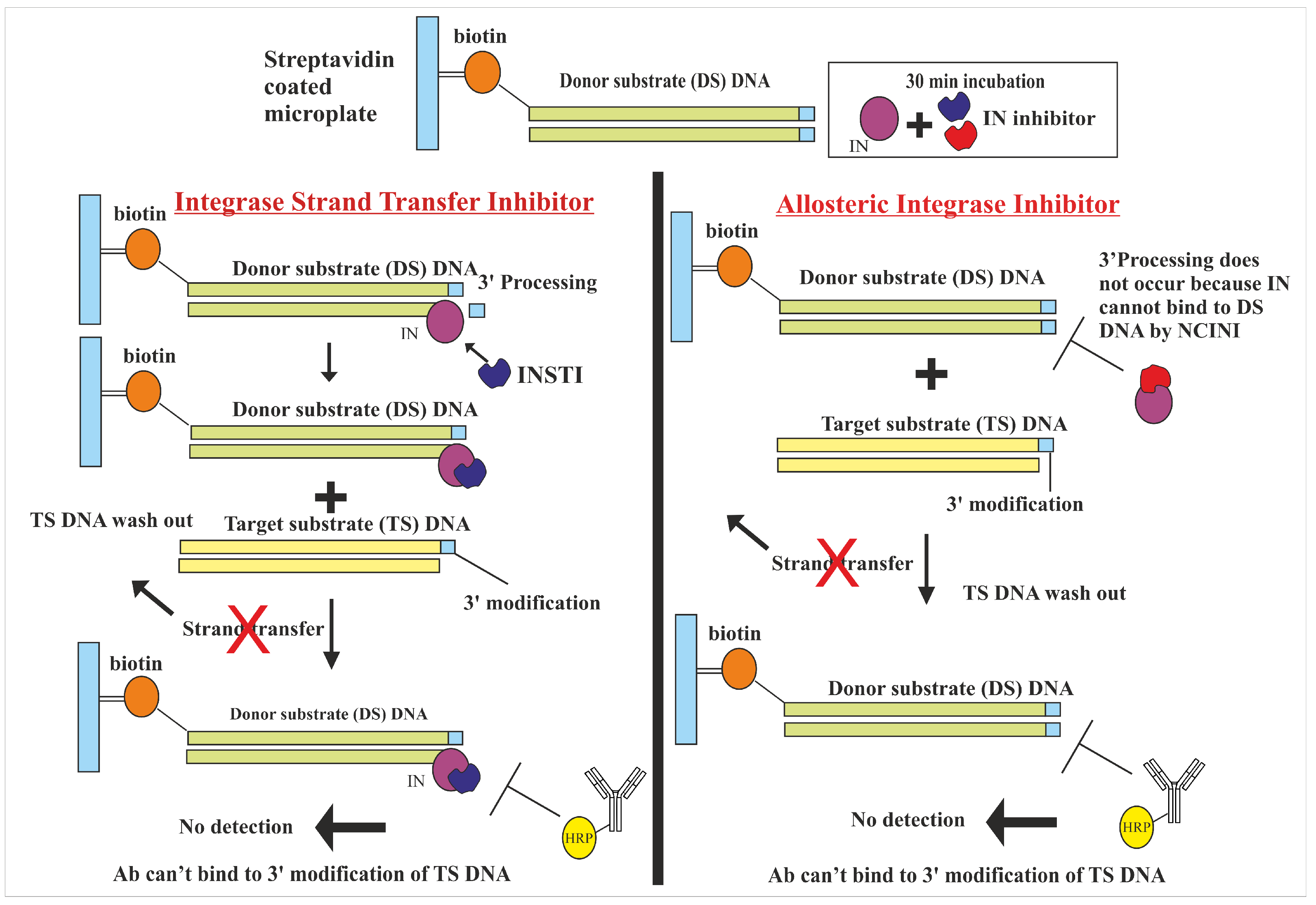 Pharmaceuticals 18 00030 g004 Pharmaceuticals 18 00030 g004