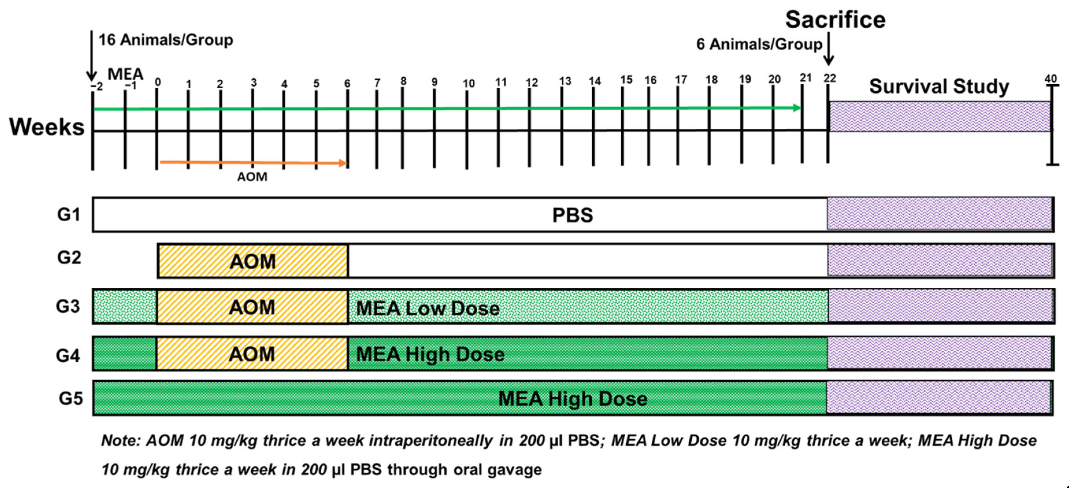 Pharmaceuticals 18 00034 g009