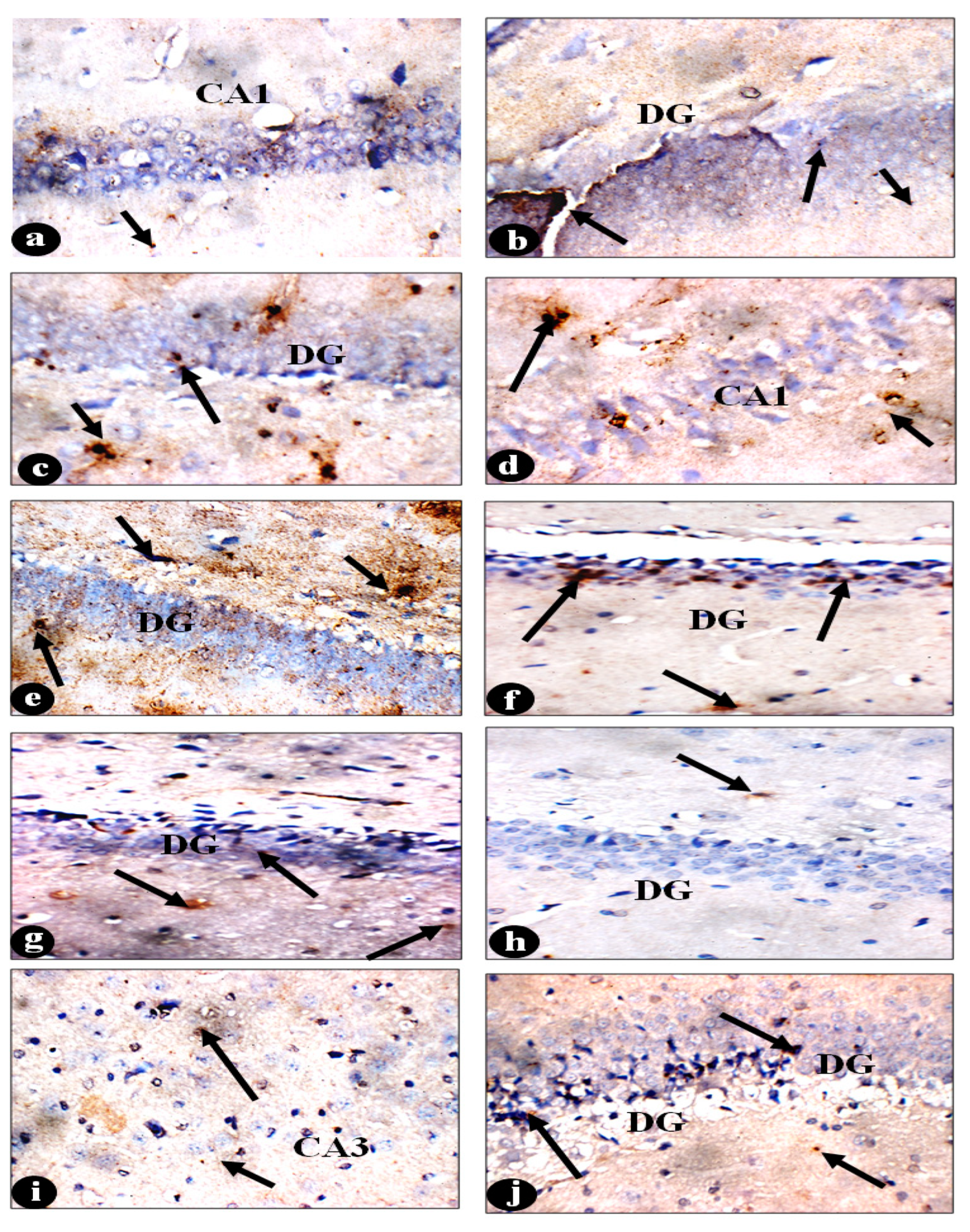 Pharmaceuticals 18 00035 g003